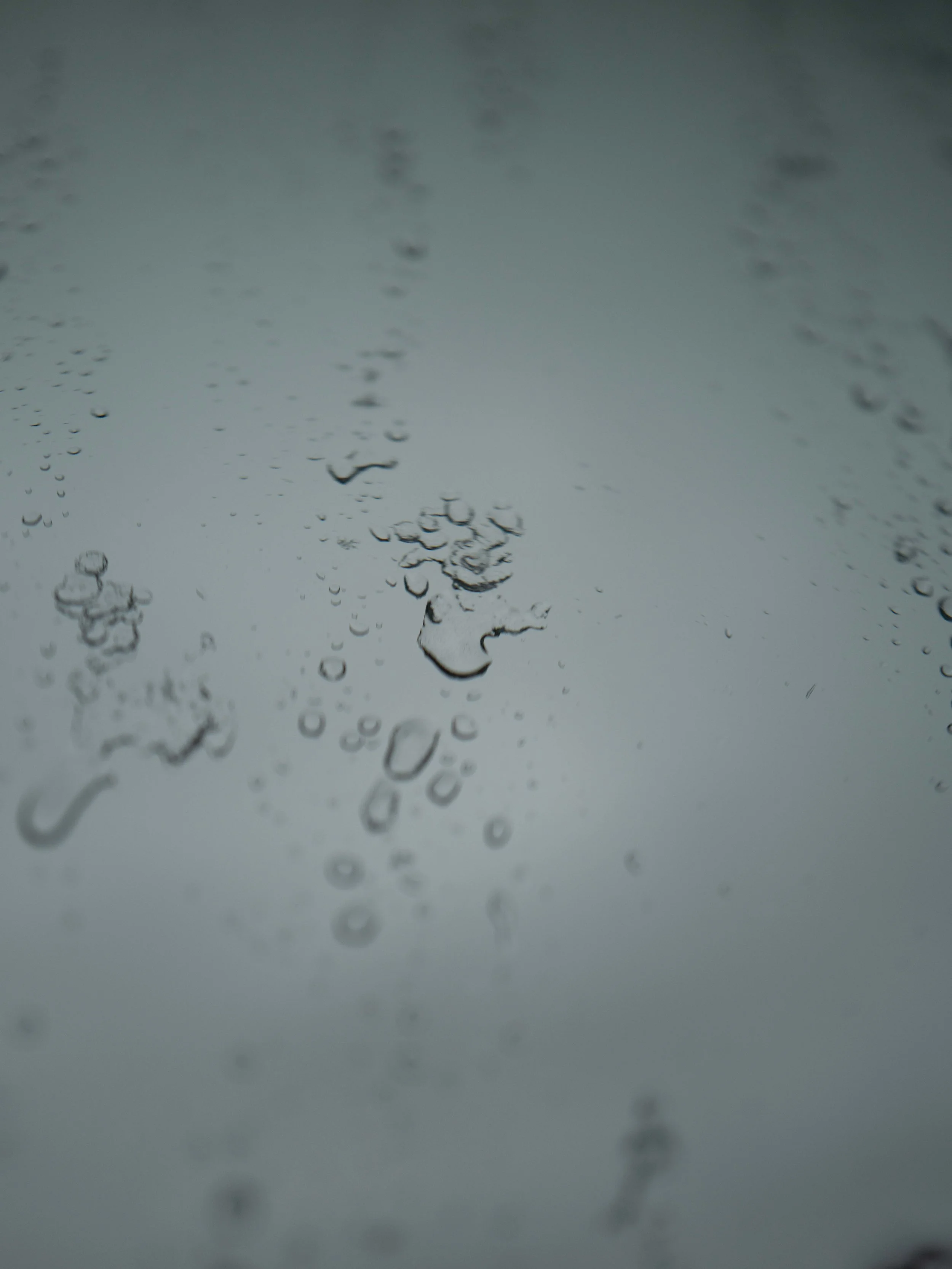 L1004190_1.jpg