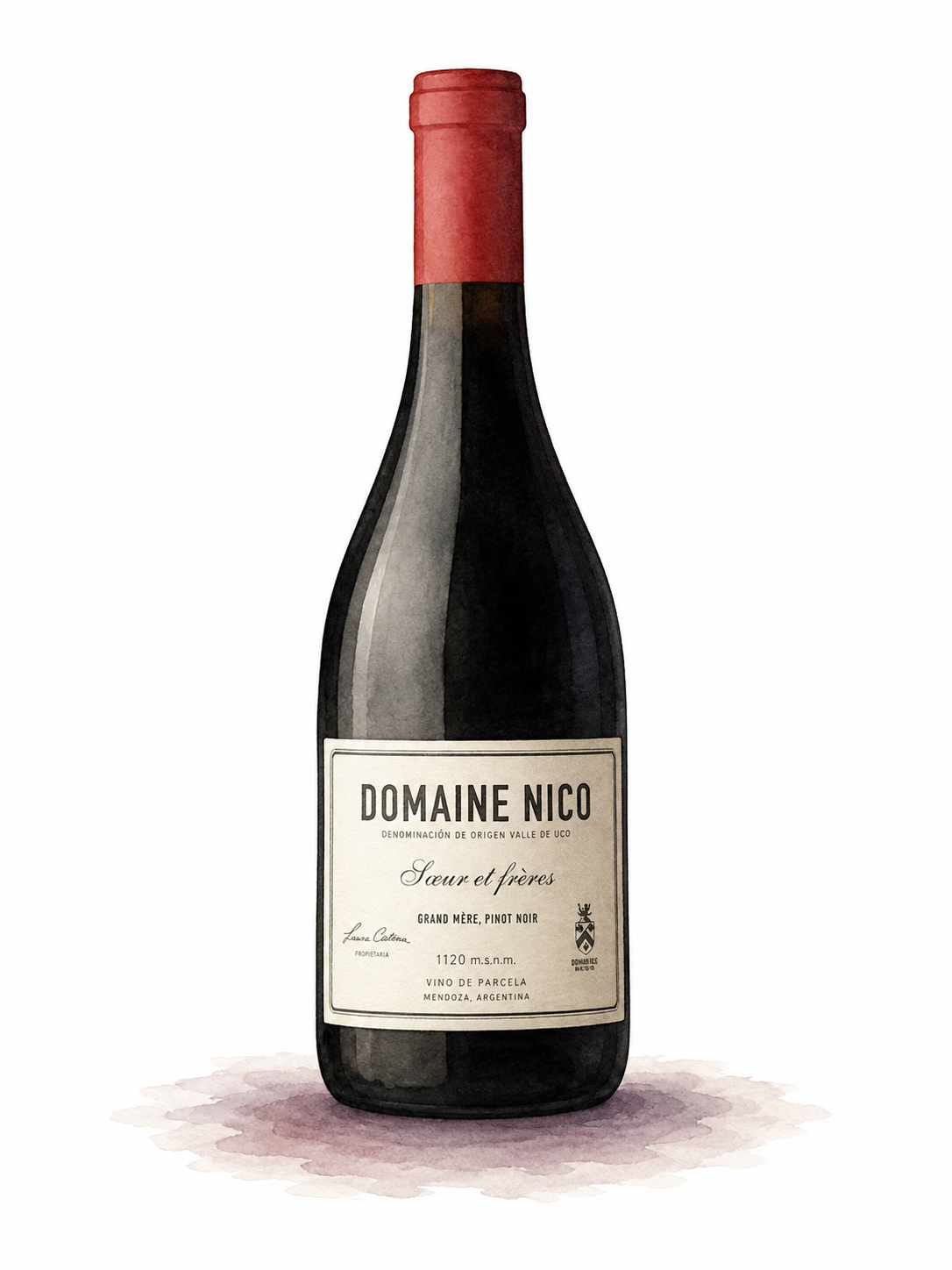 Domaine Nico 'Soeur et Freres Grand Mere' Pinot Noir