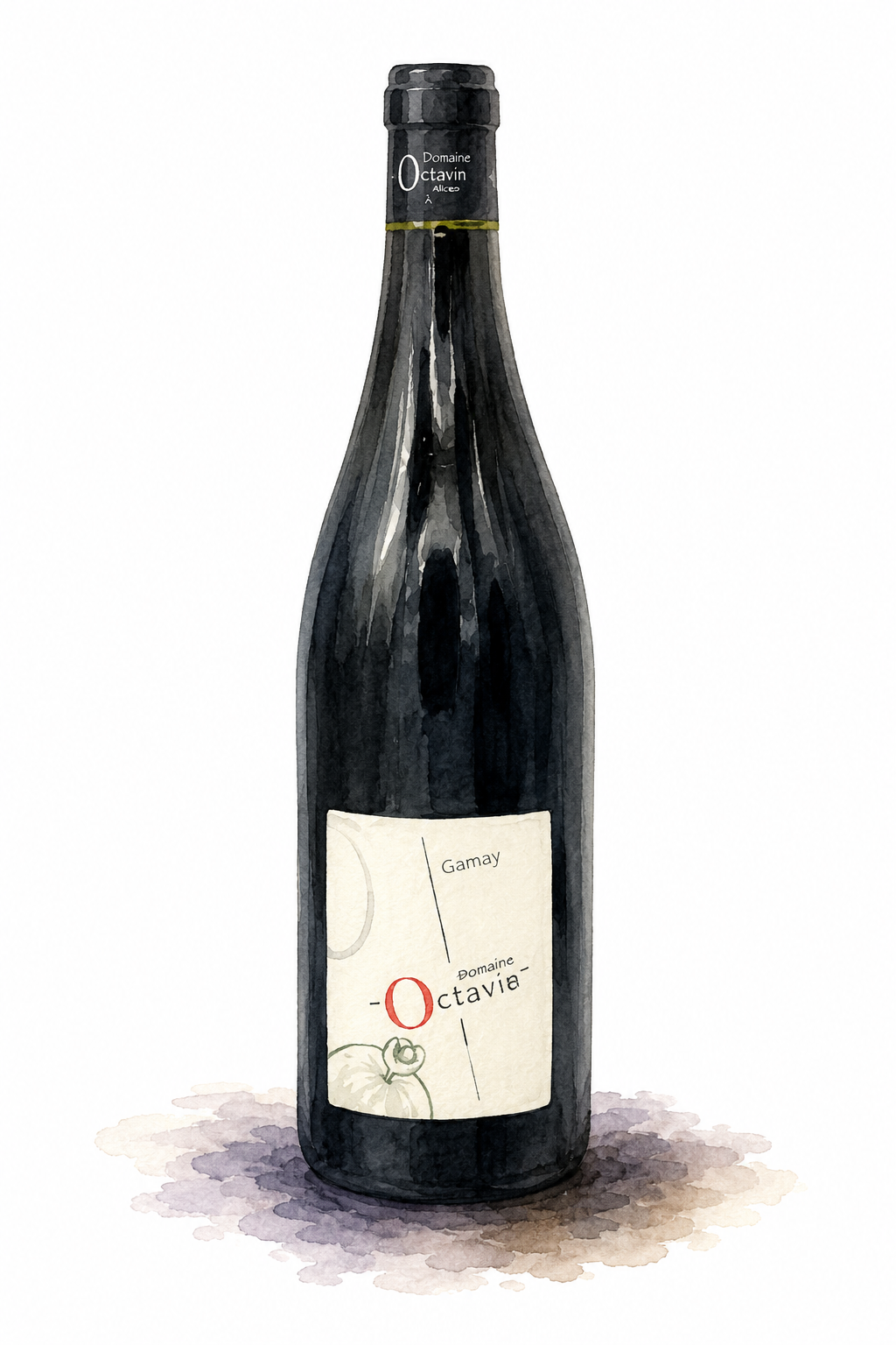 Domaine Octavie Gamay
