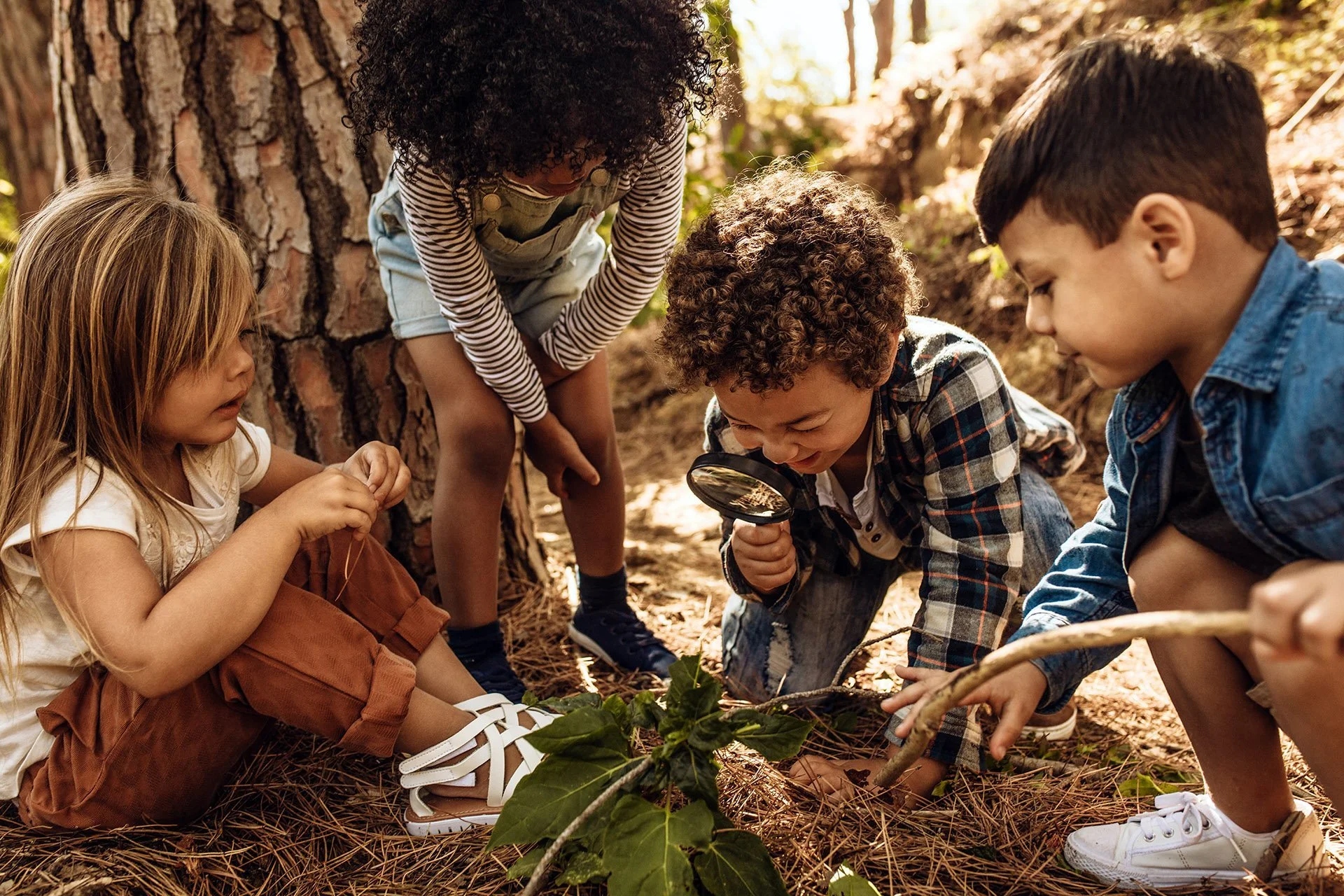 Children playing outside in the forest and looking at plants with a magnifying glass.jpeg