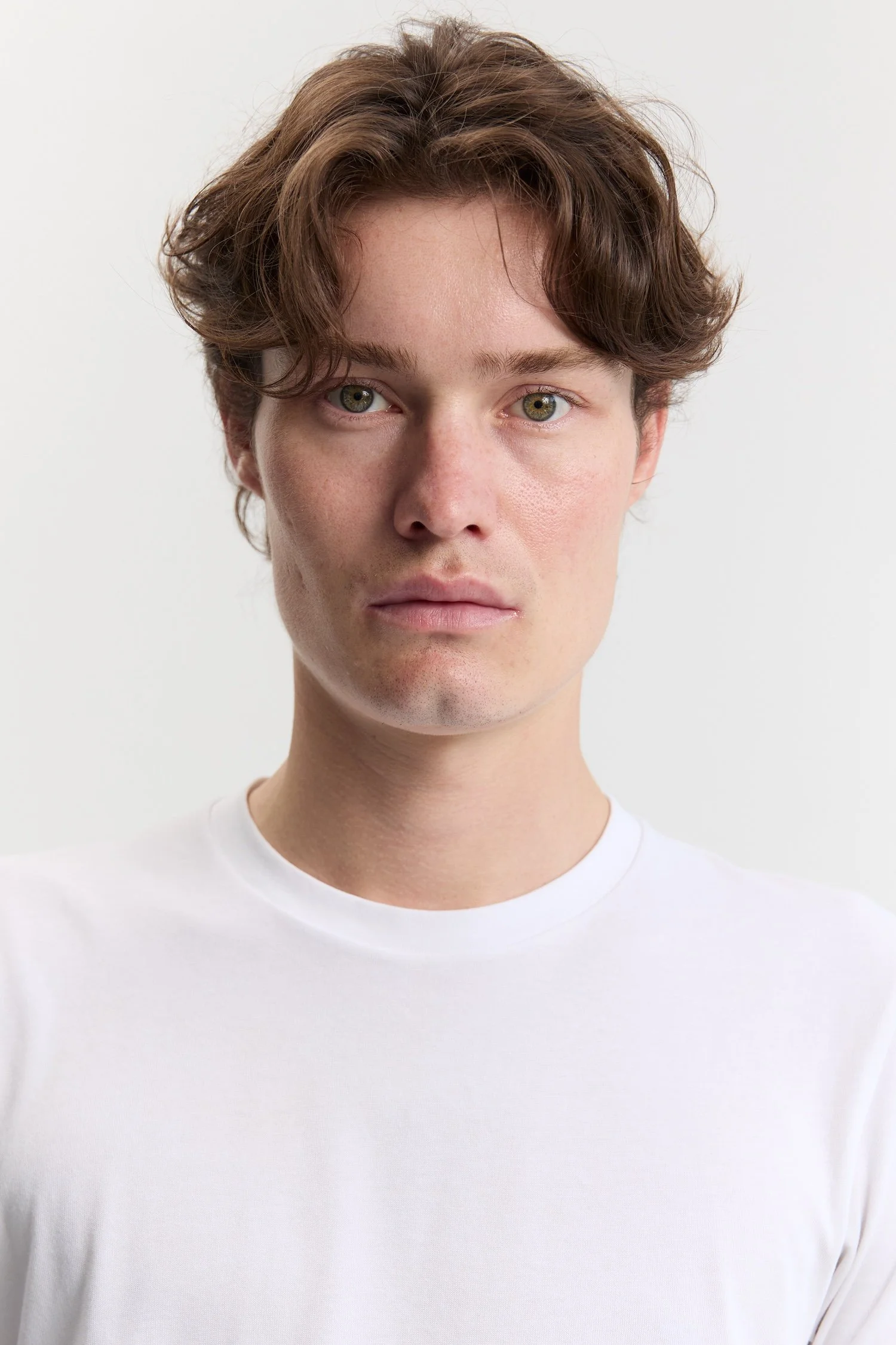 Maven18577.jpg