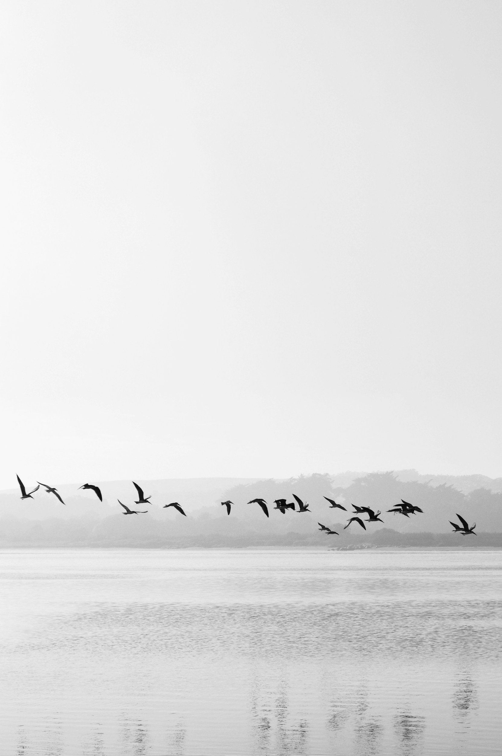 Week Twelve Theme: Maintenance