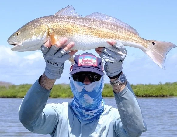 Spring Redfish In the Topsail Island Area