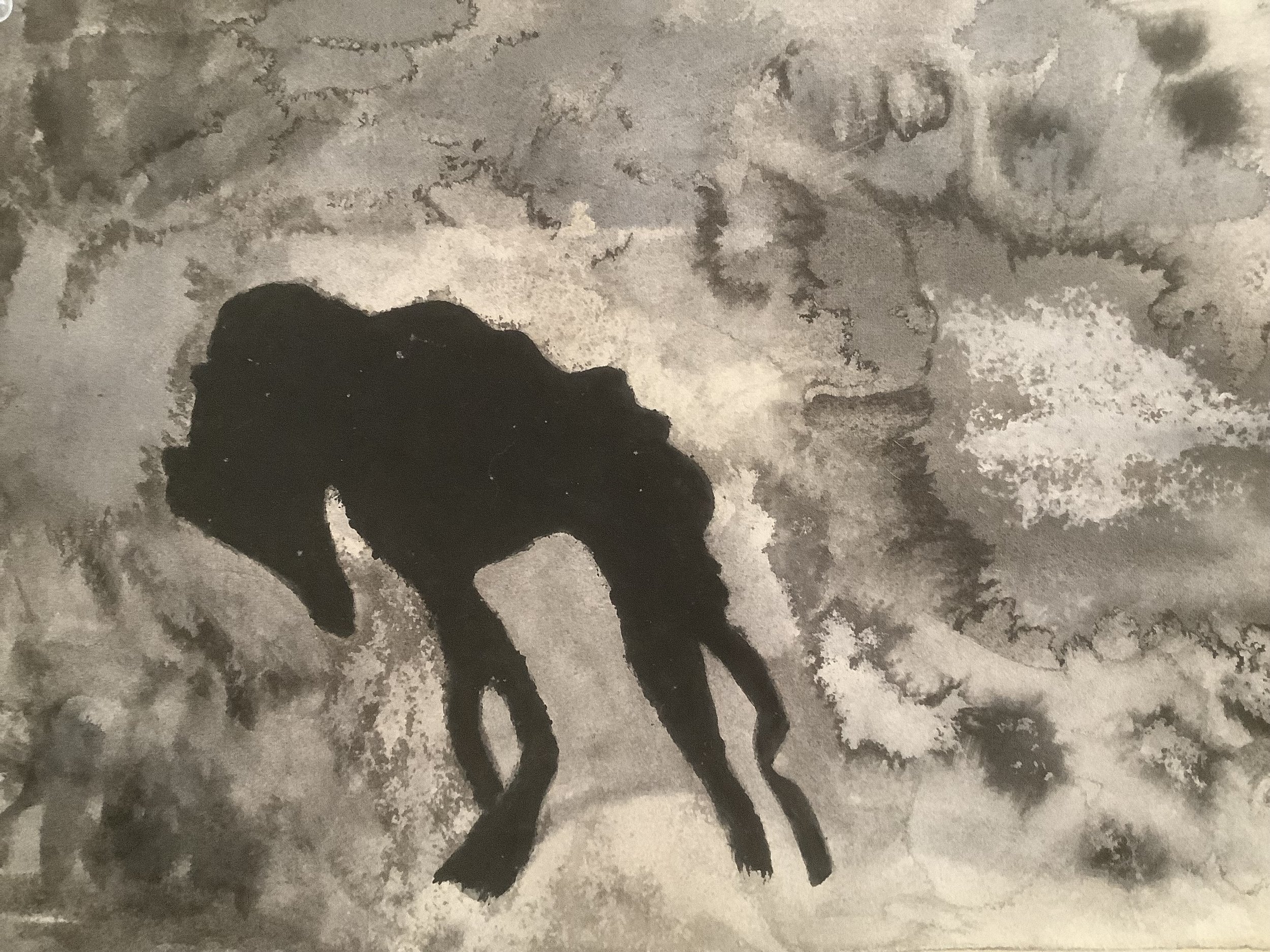    Dog Shadow  - black walnut on archival paper - monotype, 13” x 9.5” SOLD  