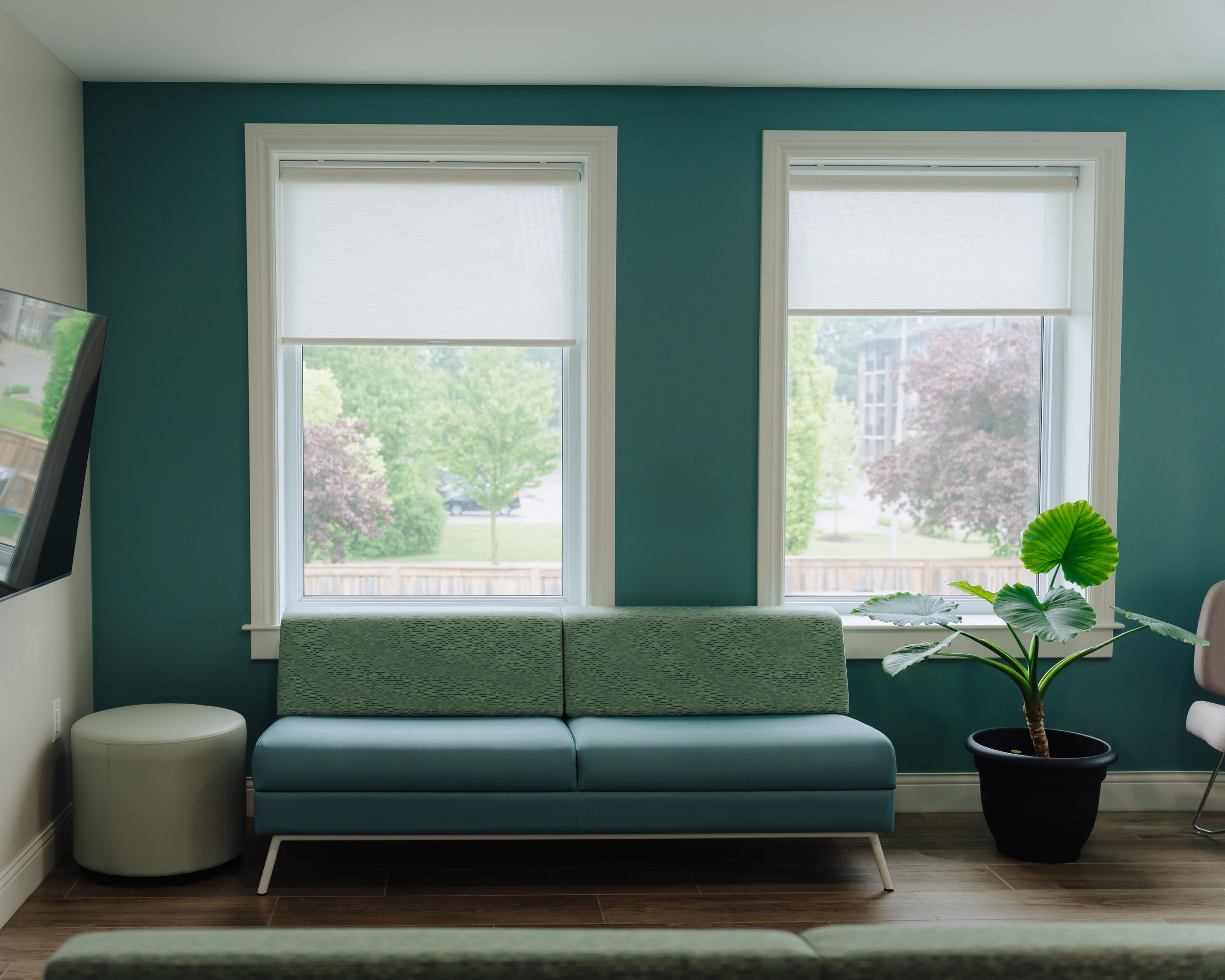 Living room with a teal wall, two large windows with white blinds, a modern teal and gray sofa, a small round white ottoman, a potted plant with large green leaves, and a wall-mounted TV.