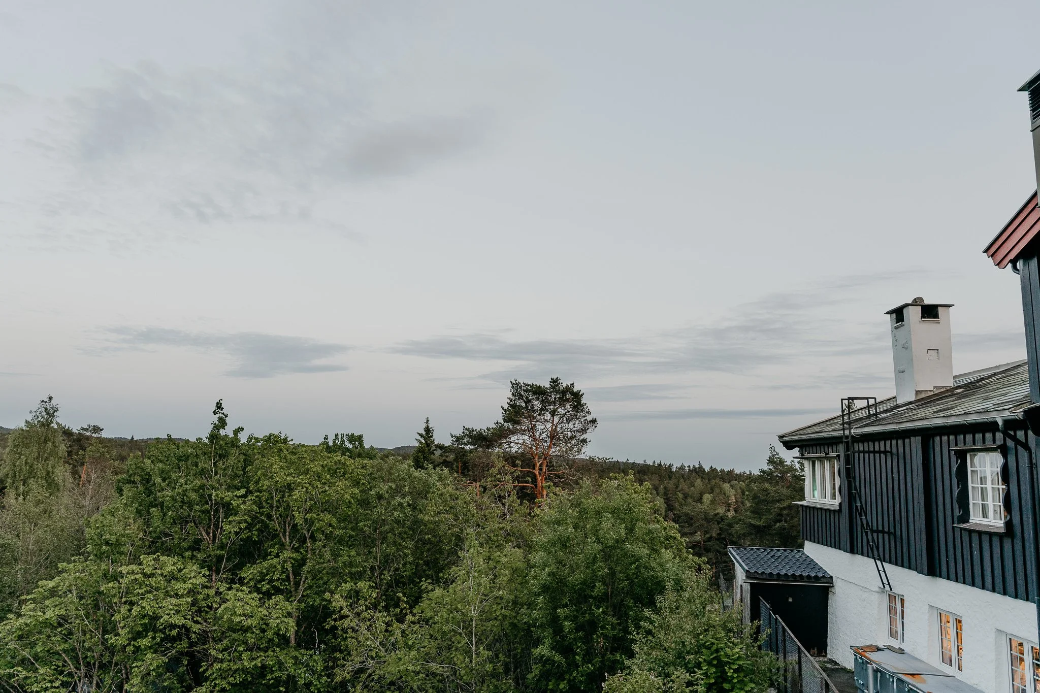 Utsikt over trærne fra et lokale en fin sommerdag.