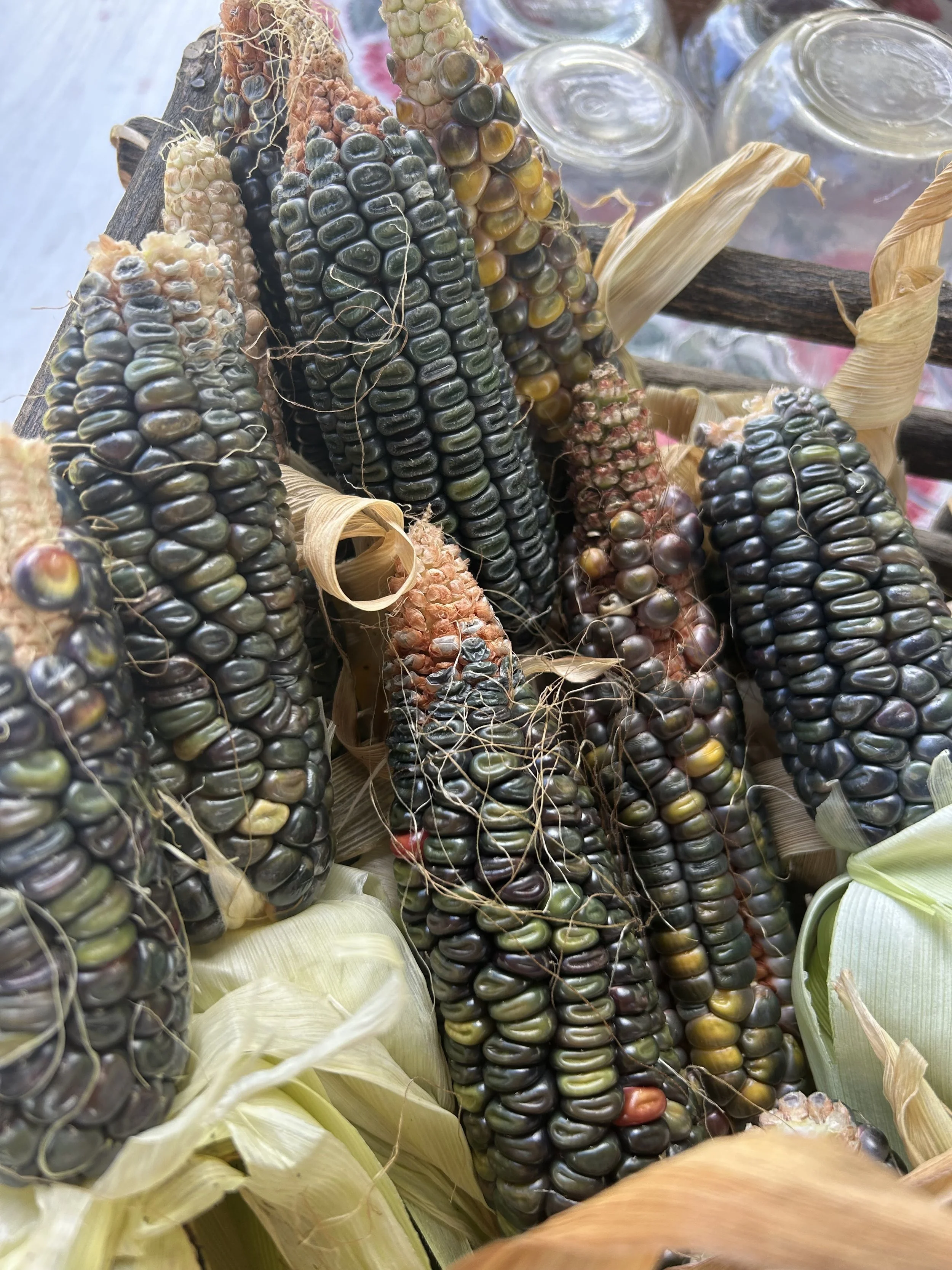 A Time of Gathering Seeds