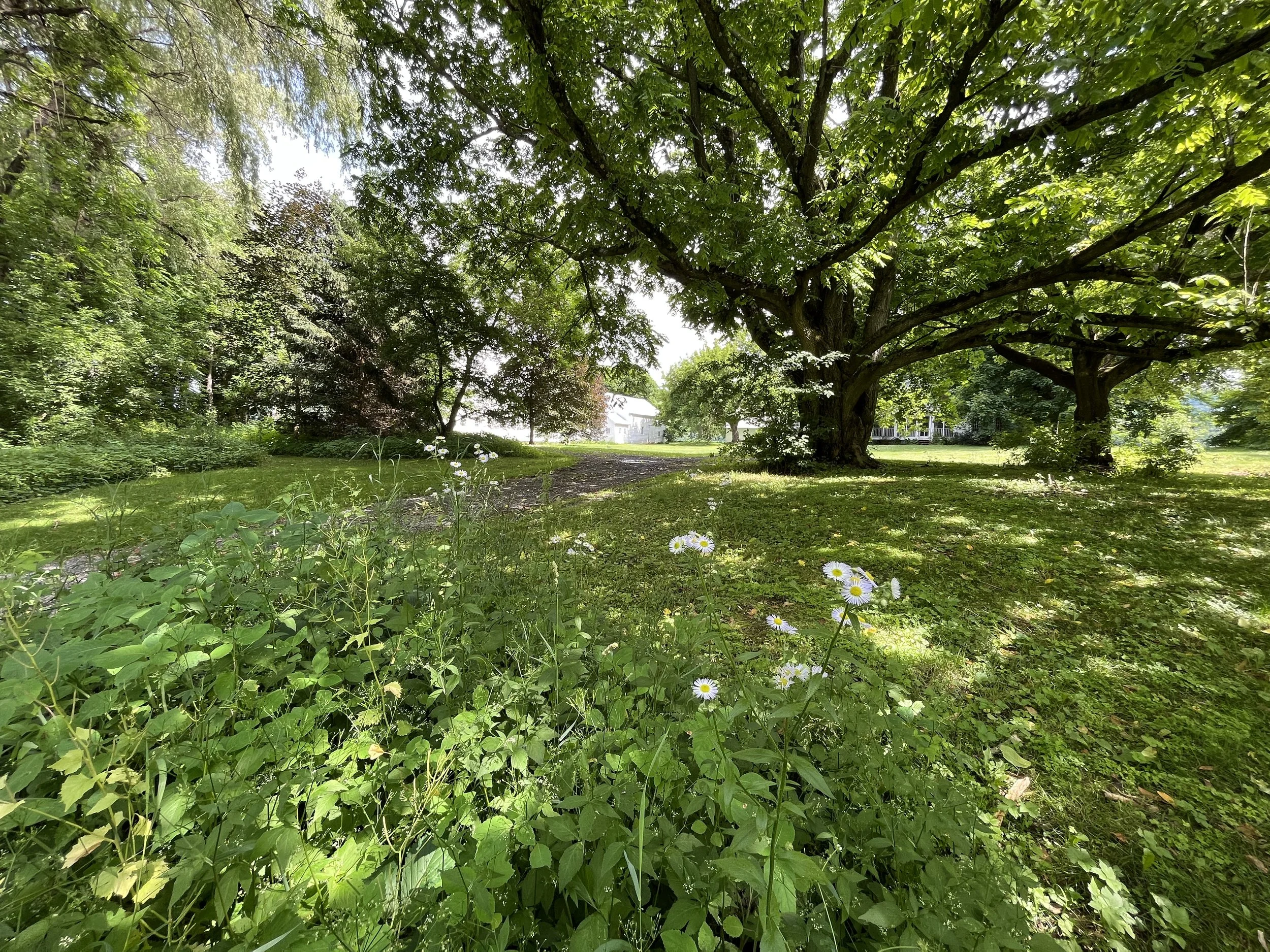 Walhalla Farm History — CSA