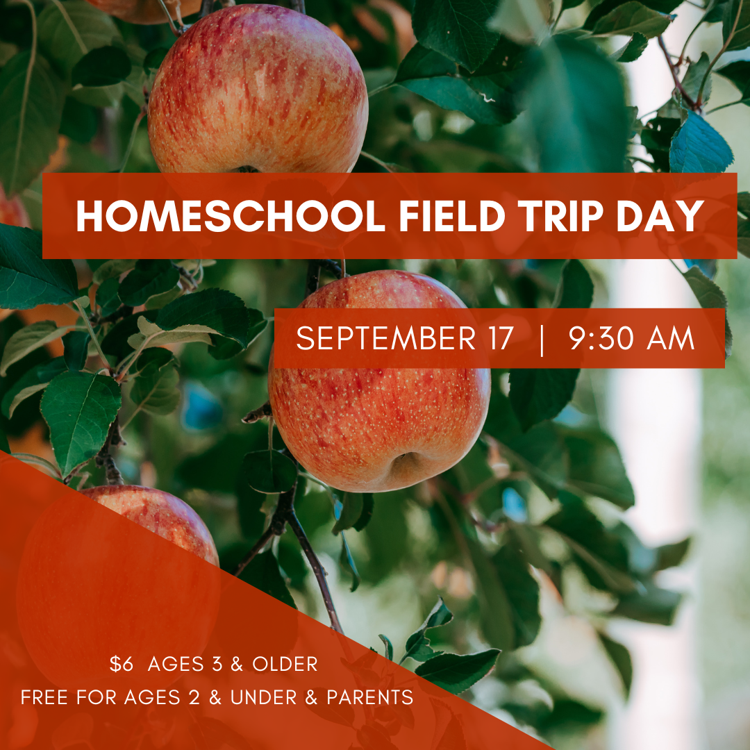 Homeschool Field Trip Day
