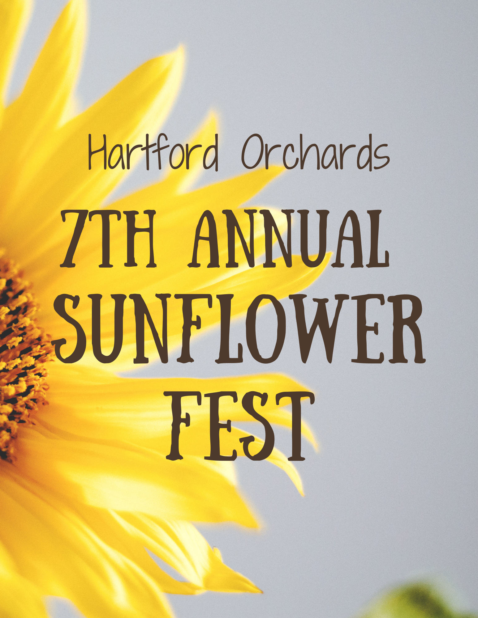 7th Annual Sunflower Festival