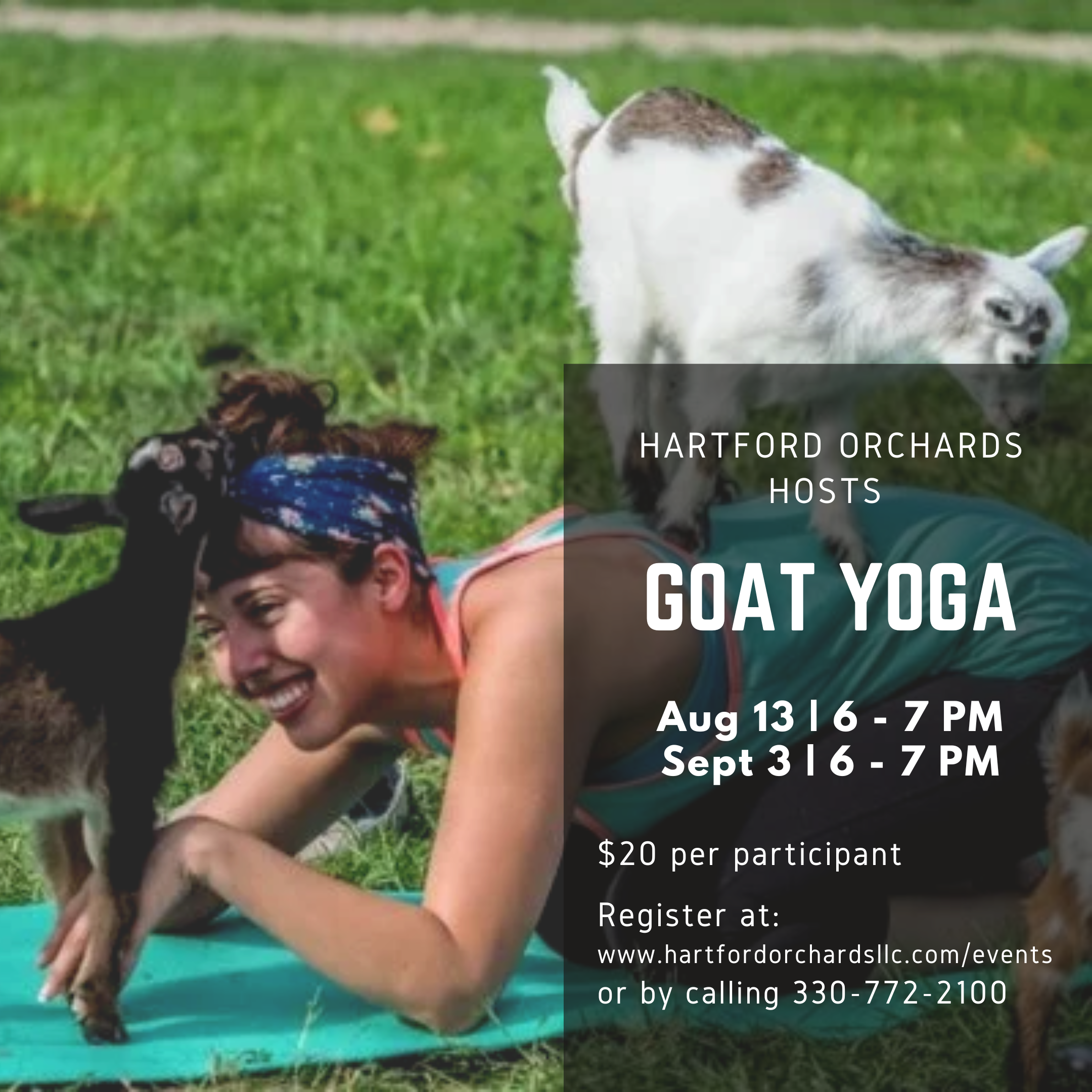Goat Yoga at Hartford Orchards