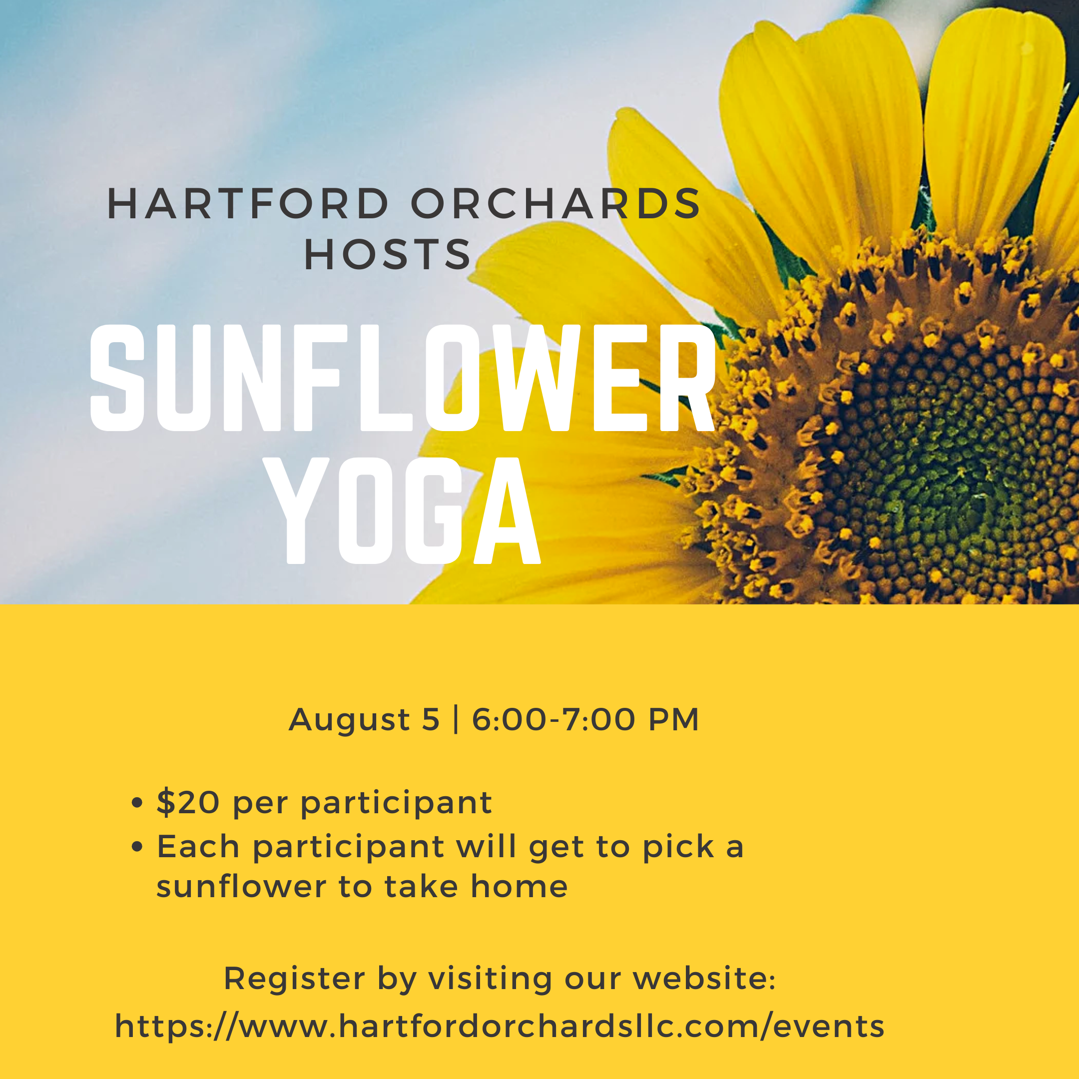 Sunflower Yoga at Hartford Orchards