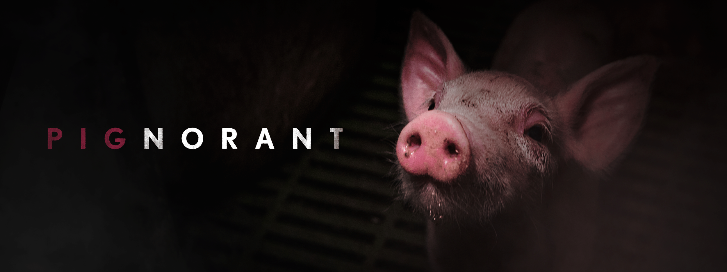 About — Pignorant