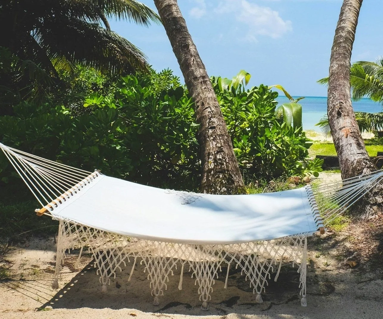 unsplash-image-Qsc-ewfUJEs.jpg