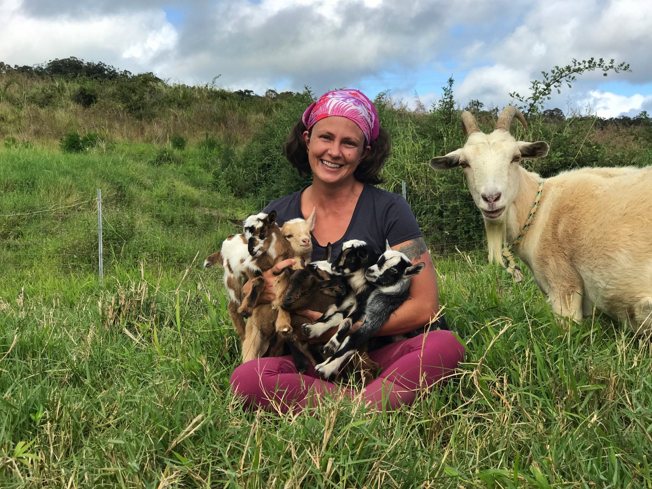 Goats Don't Play Fetch