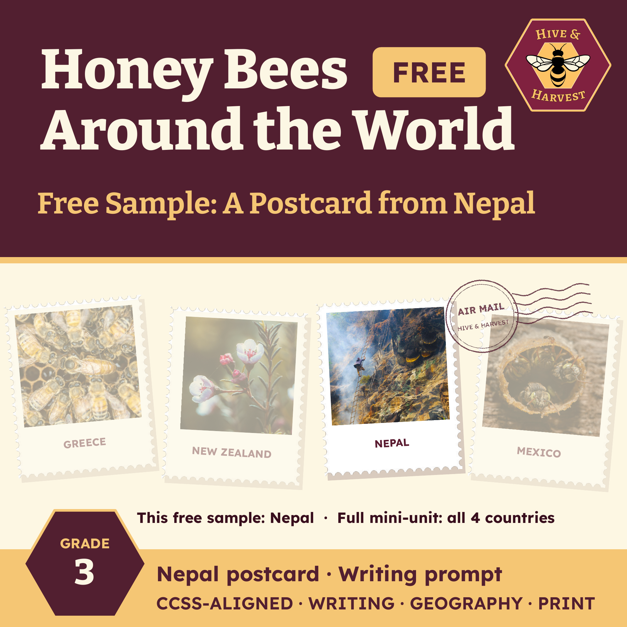 Free honey bee postcard lesson, Nepal