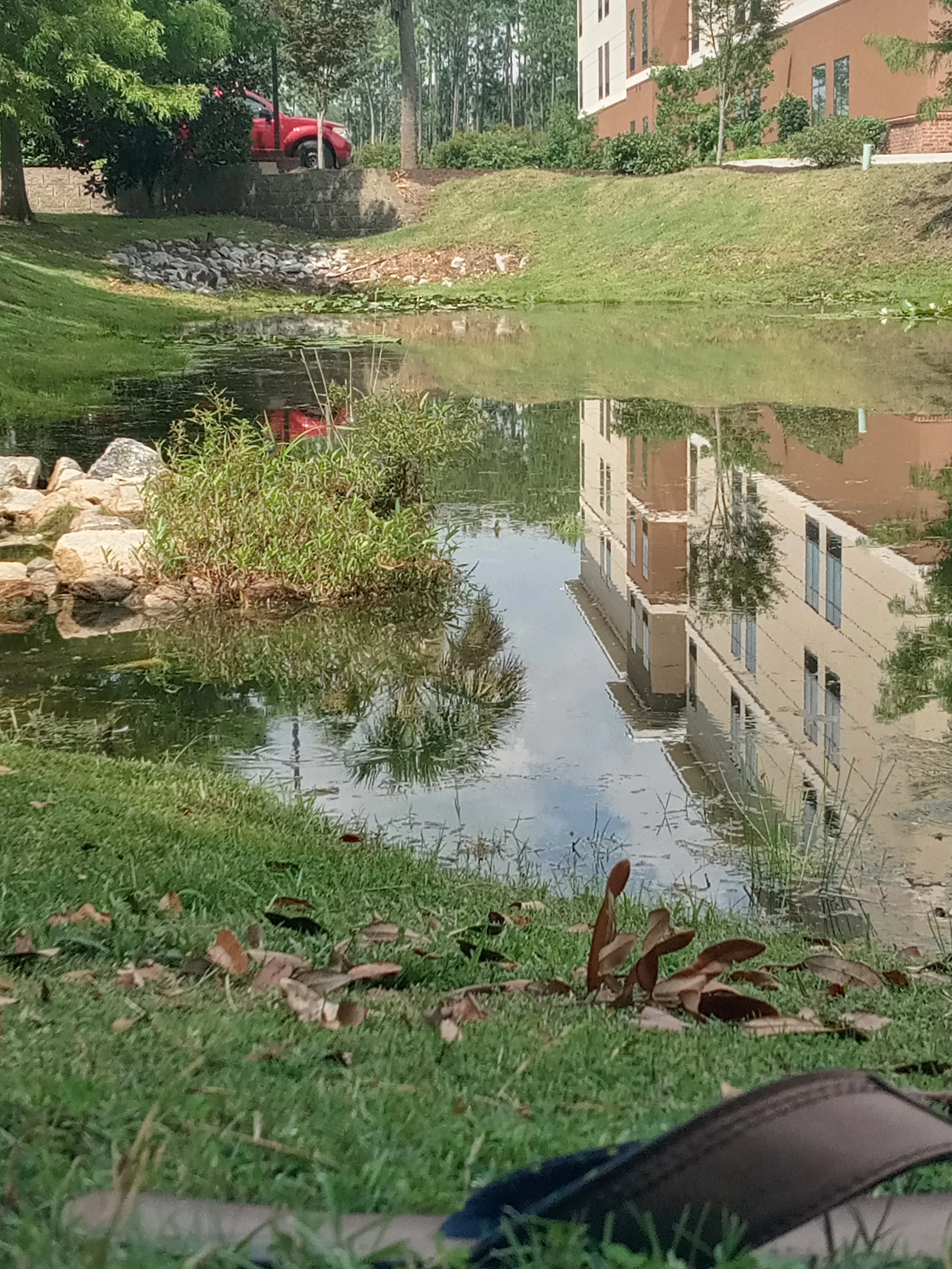 20230725_160819_HDR.jpg