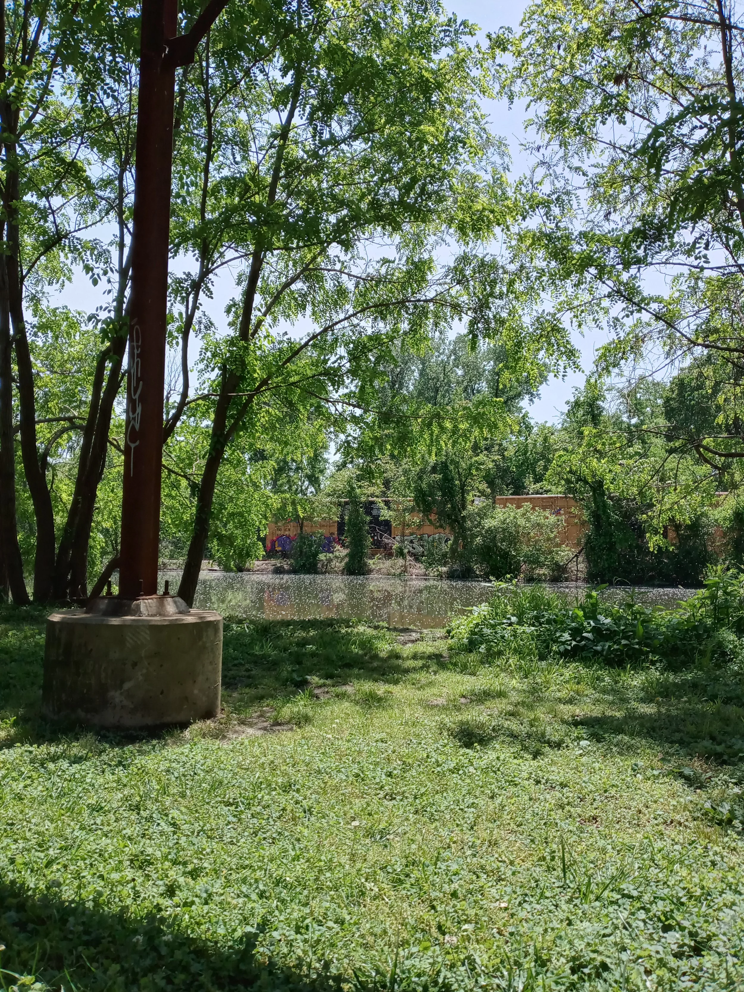 20230429_135605_HDR.jpg