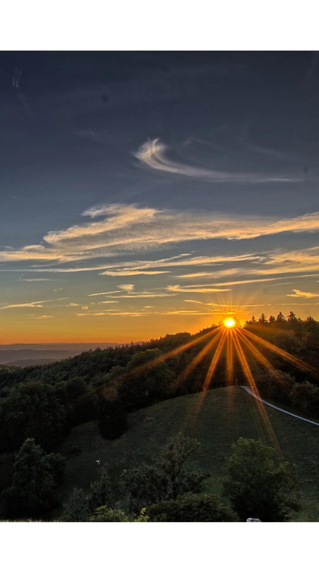 How trauma prevents you from living your best life…