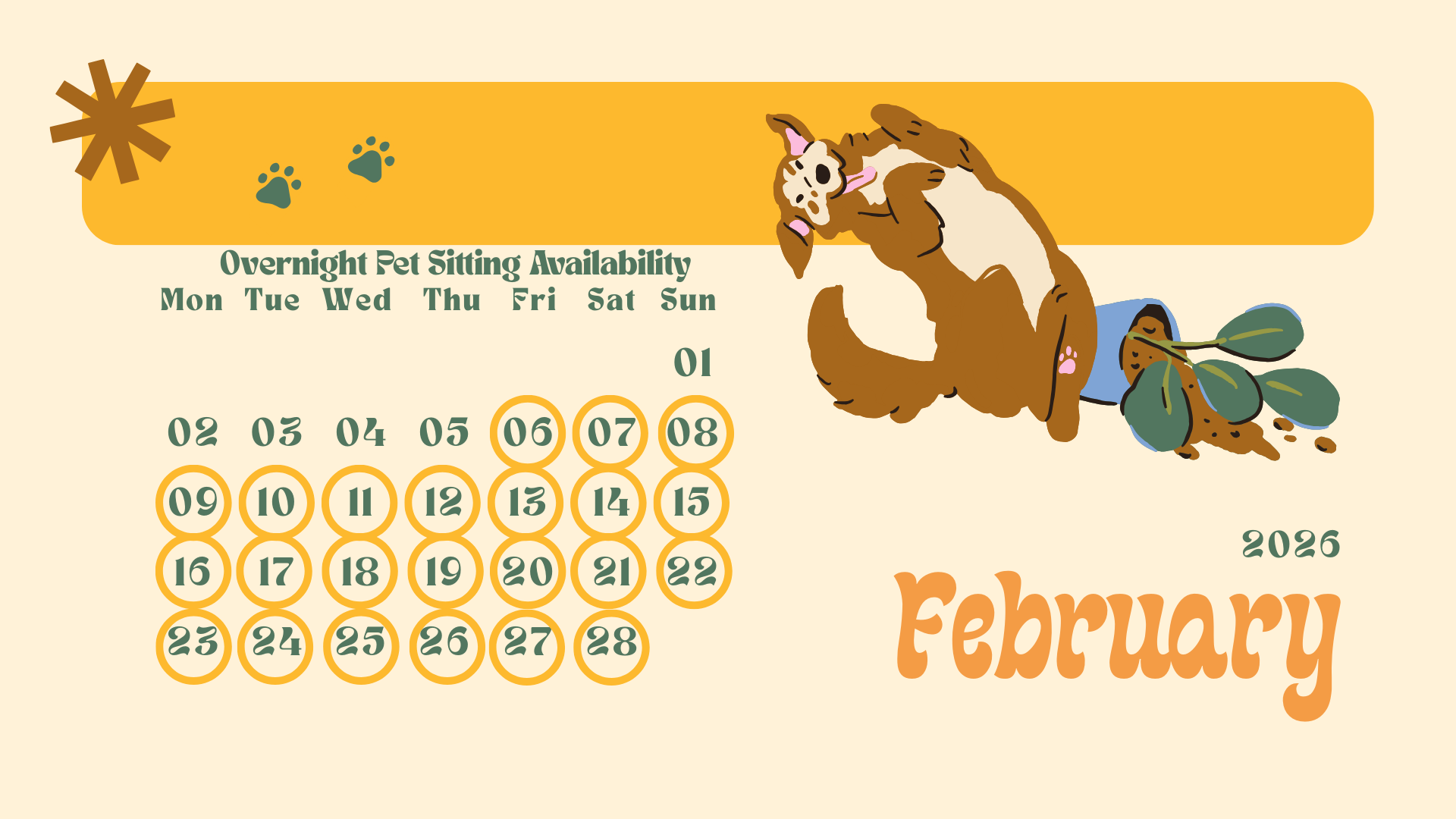 pet sitting pet sitter dog walker cat sitter boulder erie superior colorado longmont gunbarrel niwot louisville lafayette