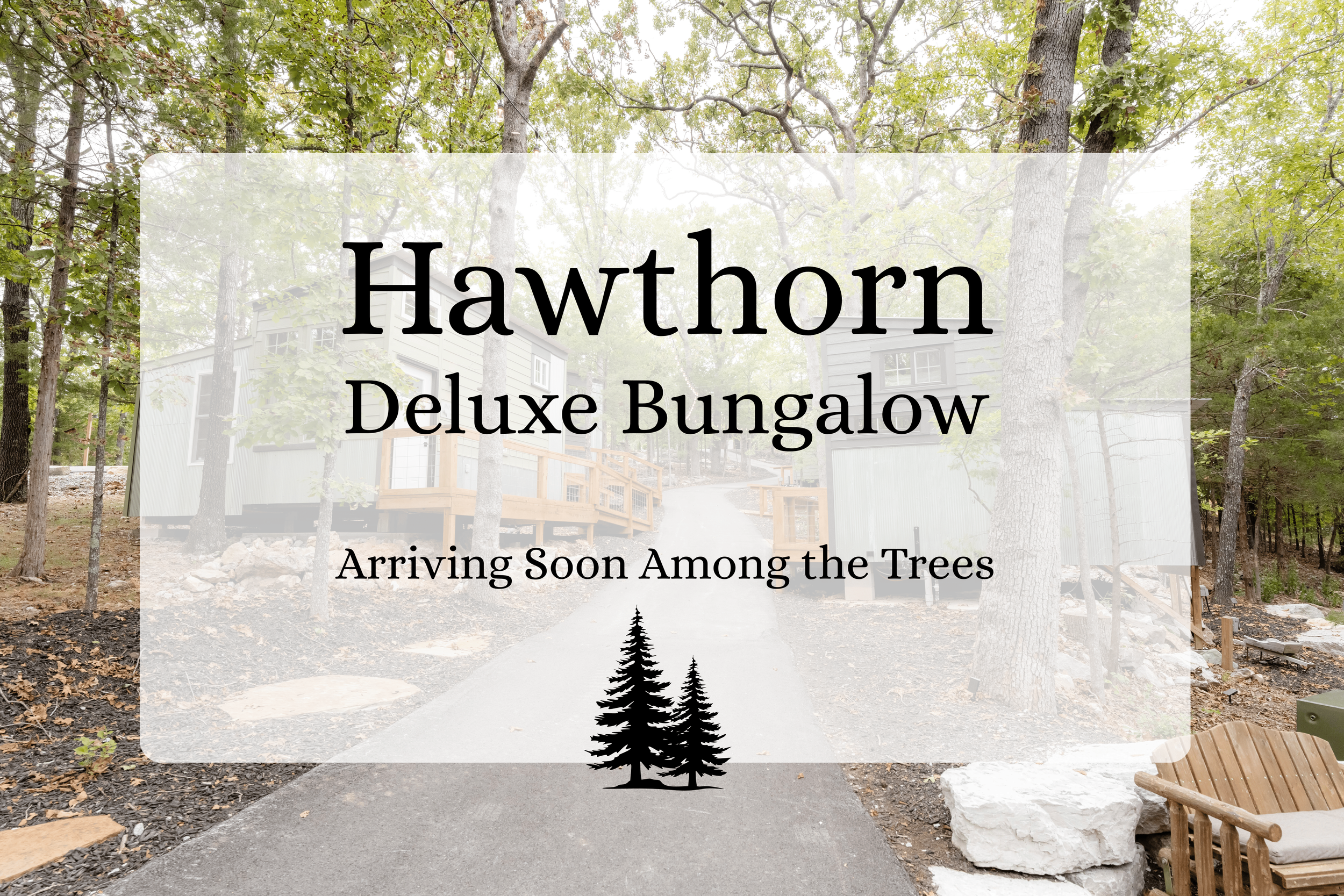 A wooded area with a pathway leading to onsite guest lodging in modern bungalow home, surrounded by trees and natural landscape, with text advertising a deluxe bungalow called Hawthorn arriving soon among the trees.