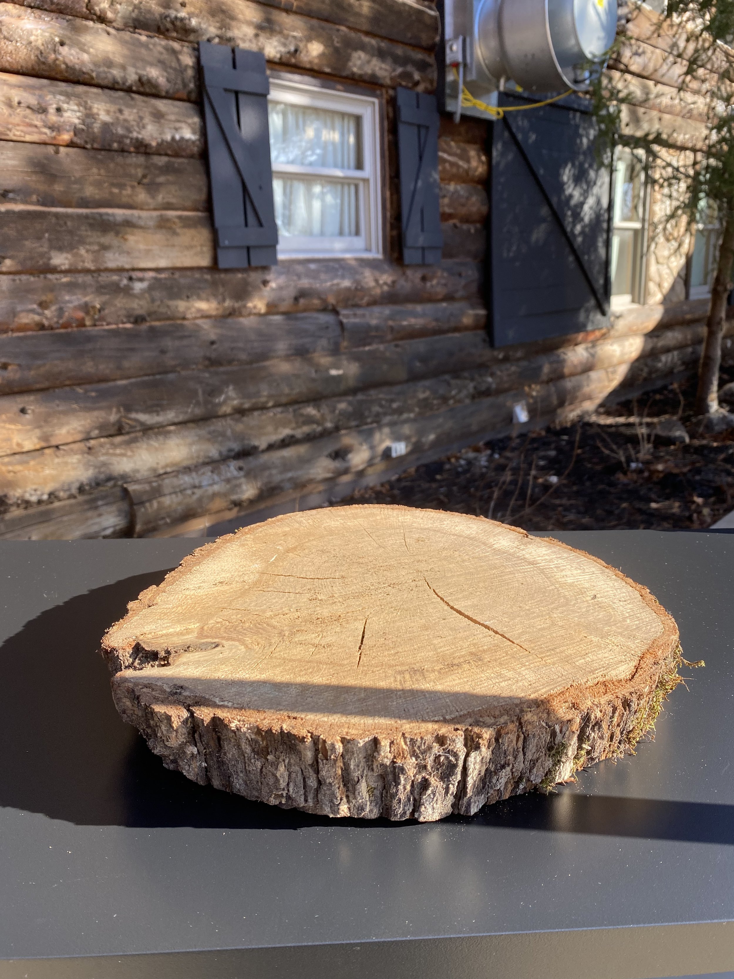 Wood Slab Center Piece