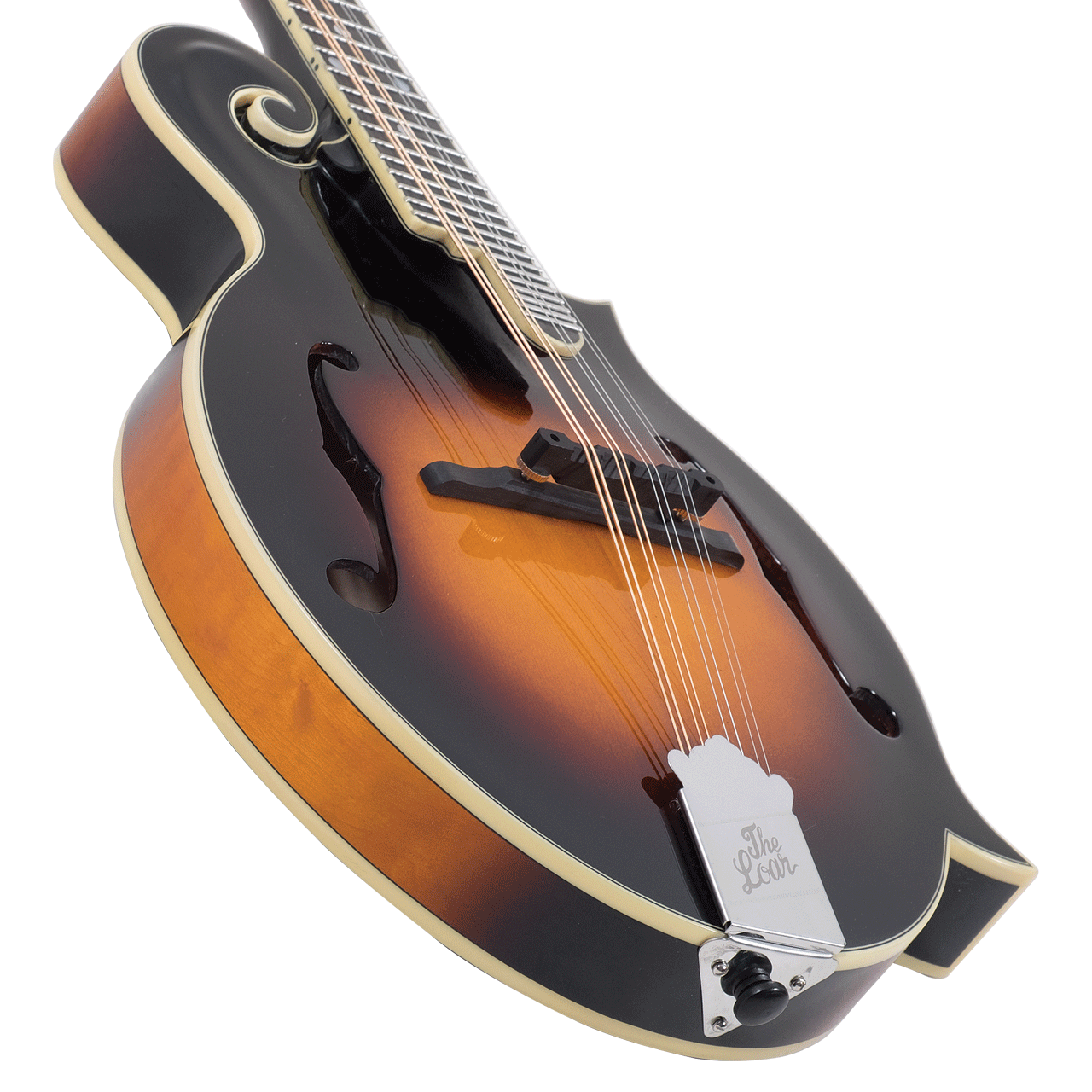 LM-600-VS — The Loar Mandolins & Archtops