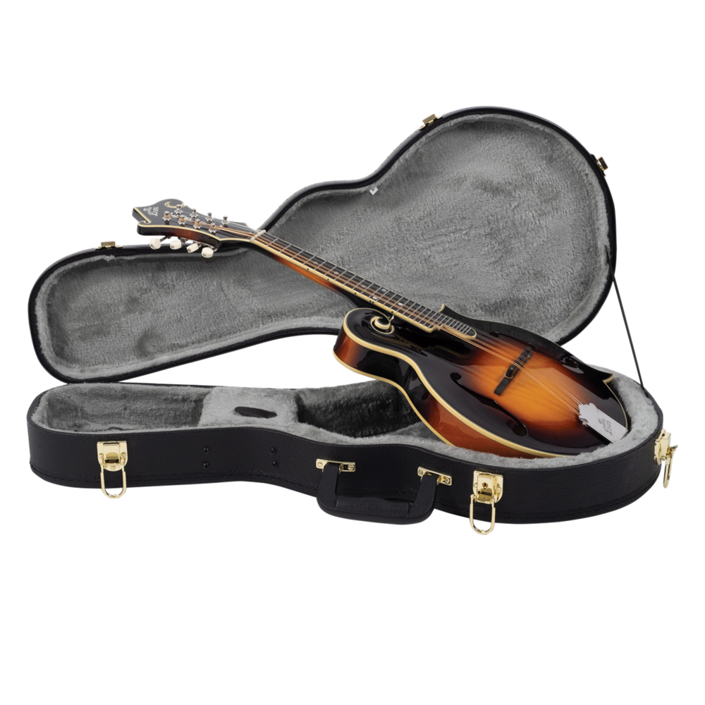 LM-600-VS — The Loar Mandolins & Archtops