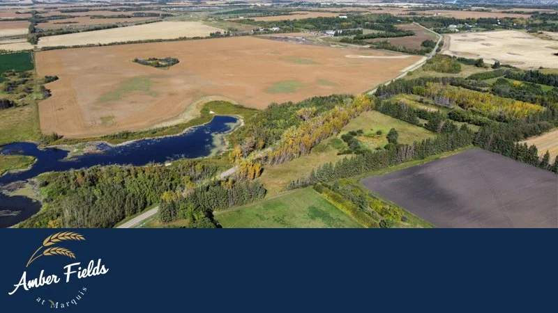 Aerial view of agricultural fields, a pond, and tree lines in a rural landscape.