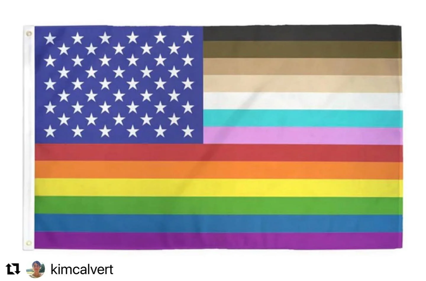 With you @kimcalvert . 💯

#Repost @kimcalvert with @use.repost
・・・
This is my American flag.  It represents democracy for ALL.  Who&rsquo;s with me?