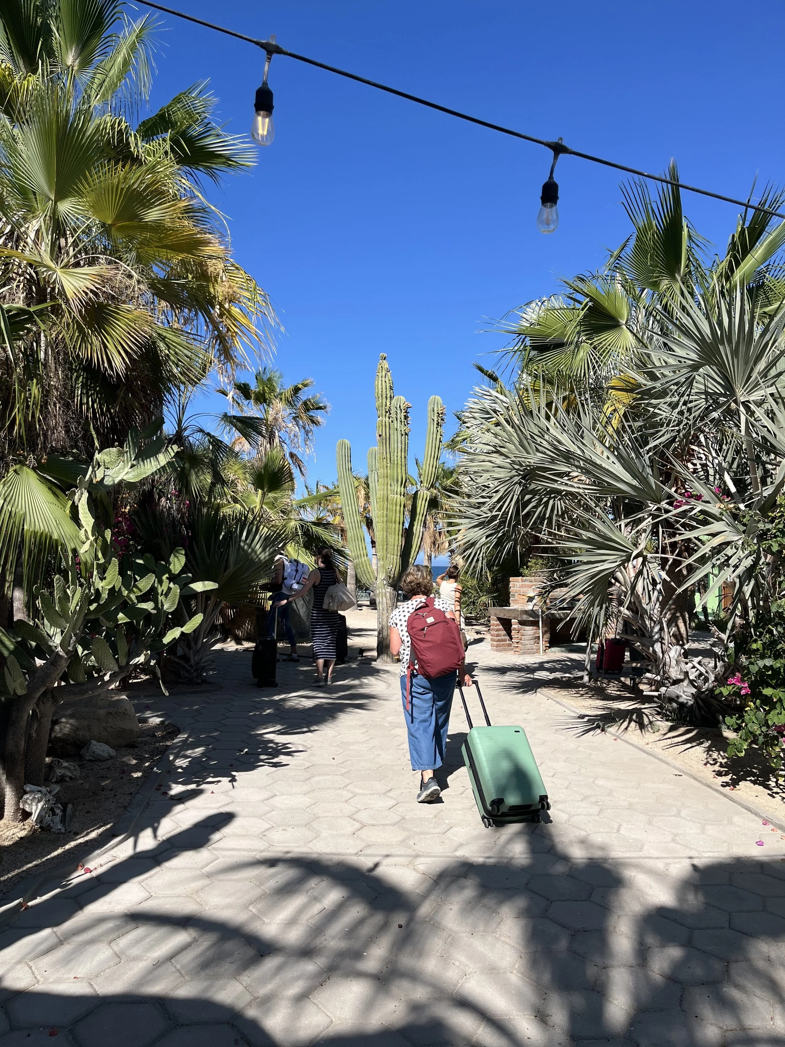 Women dragging suitcases into Casa Verde, giant sculptural cactus, bistro lights