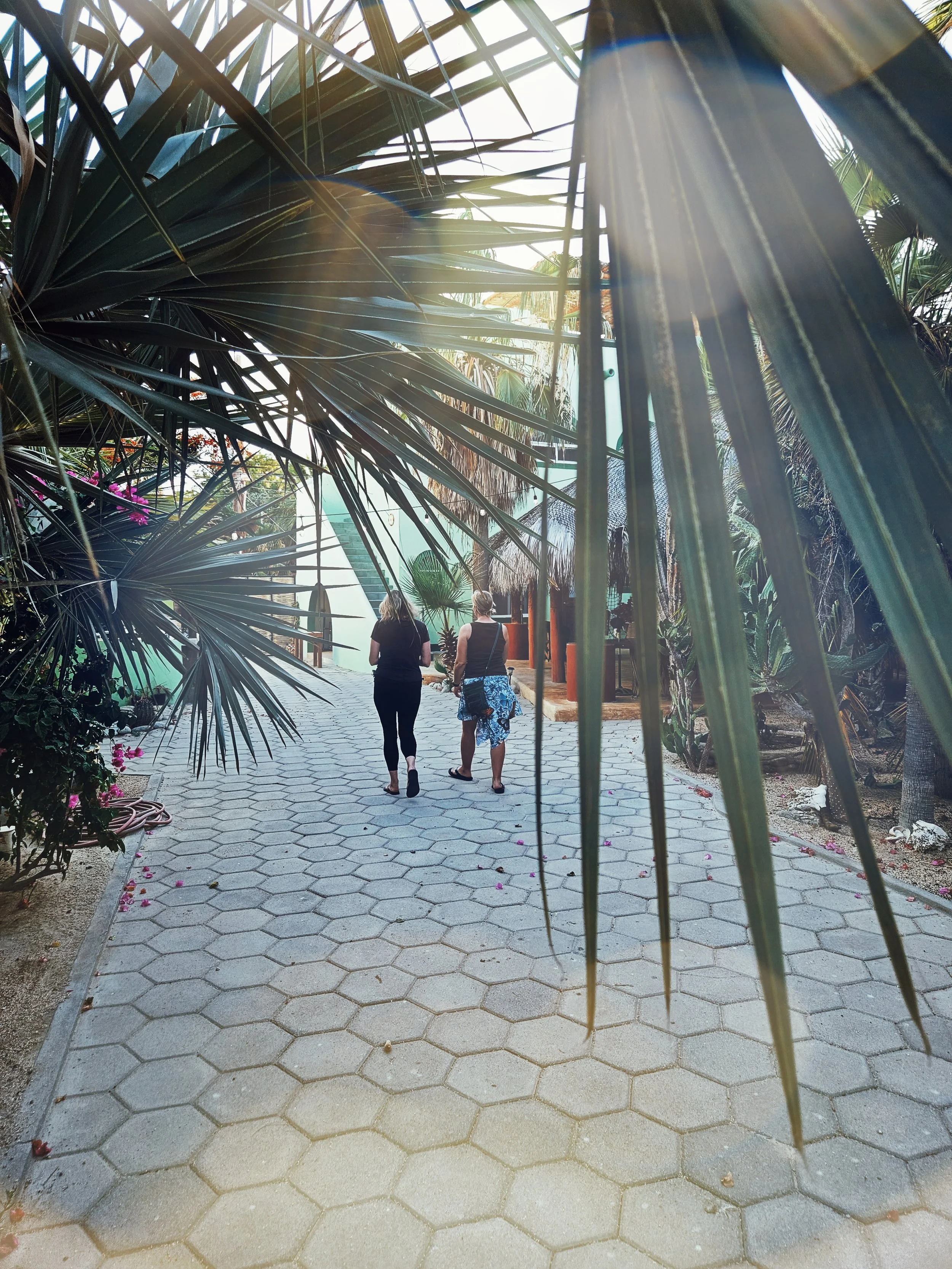 a stroll through the resort