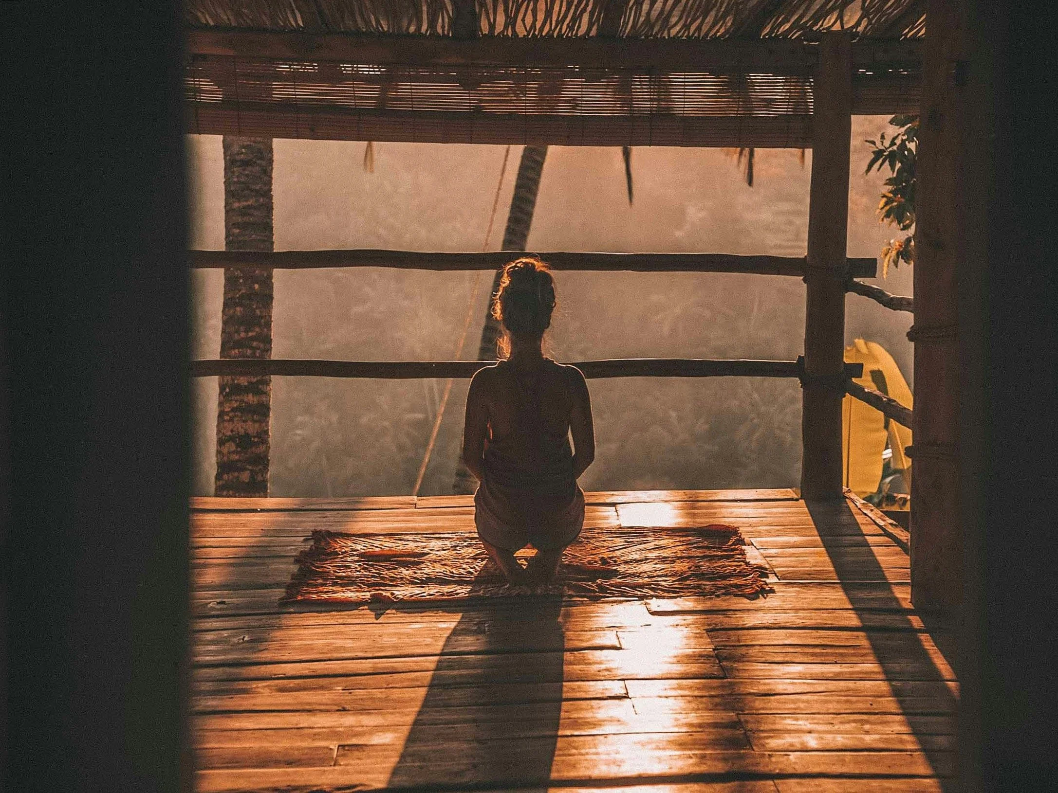 Know this before your ayahuasca treatment in Mexico