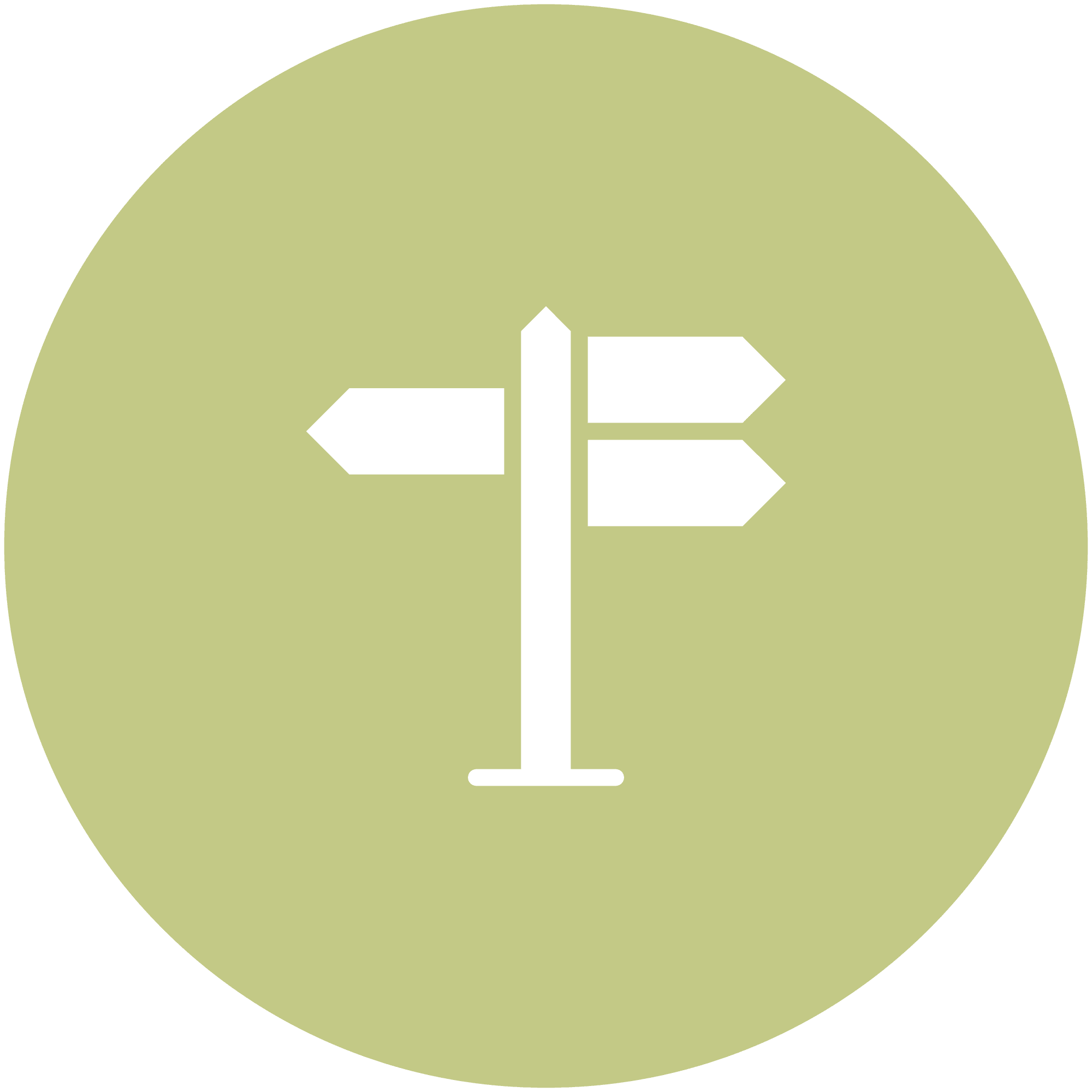 Guidance during photoshoot in Auckland