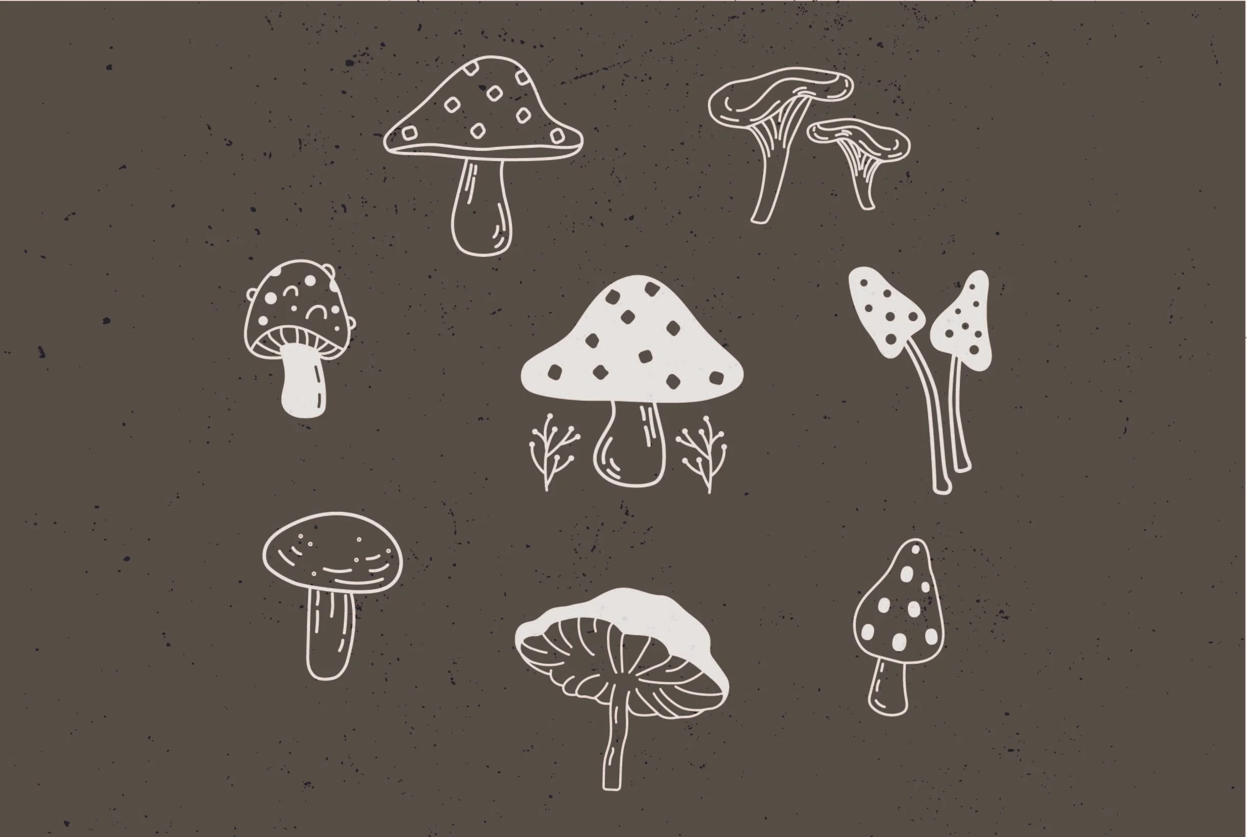mushroom-36.jpg