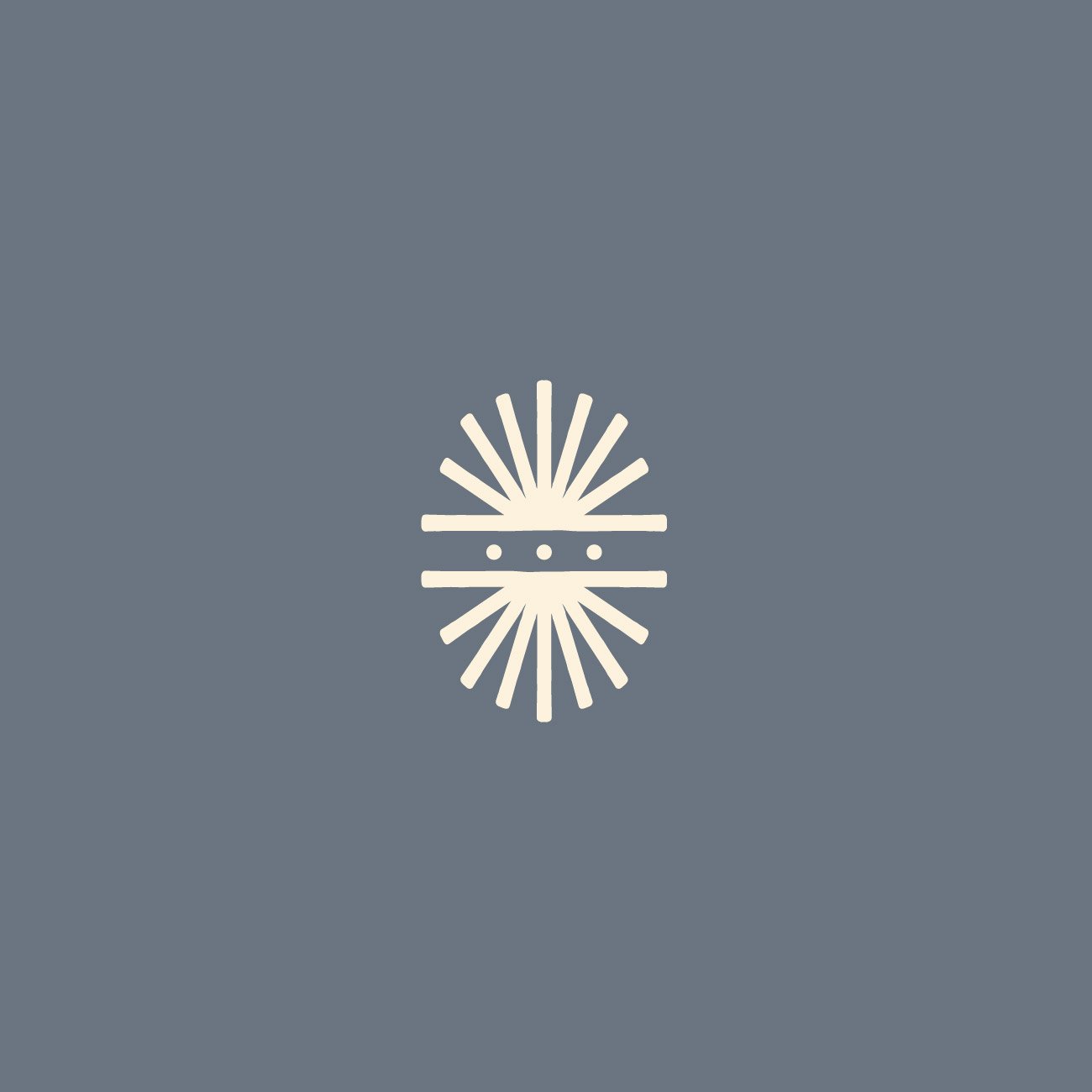 COASTAL BRANDING PRE MADE KIT_01-06.jpg