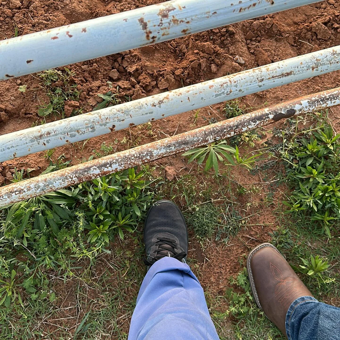 Office again for tonight - 89er rodeo