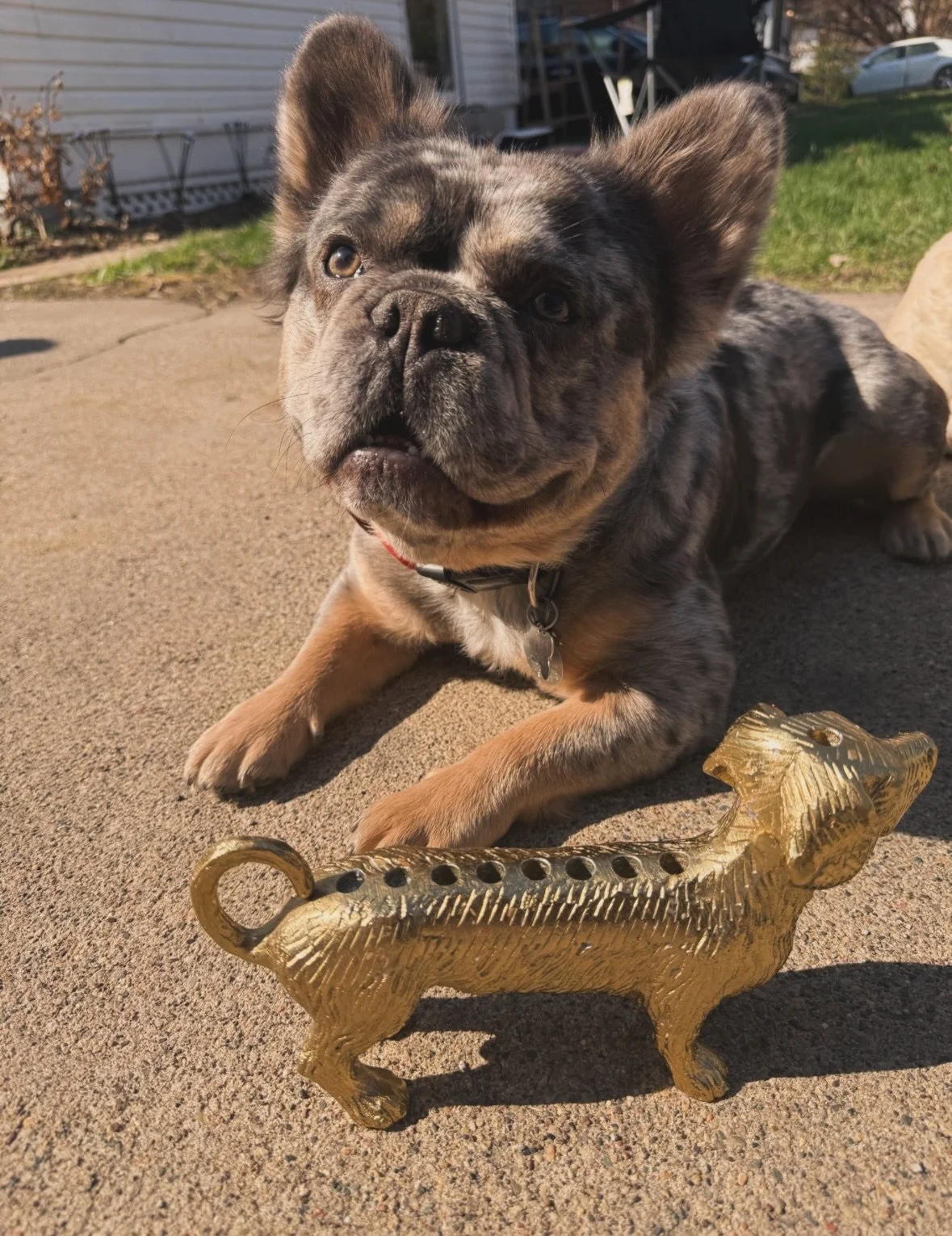 ICYMI: We&rsquo;re giving away free #Judaica at our next open house, May 20th, 5-7 PM 🧡

Right before the Jewish holiday of Shavuot, we&rsquo;re welcoming in community to learn more about our organizing plans this year as we continue to rebuild and 