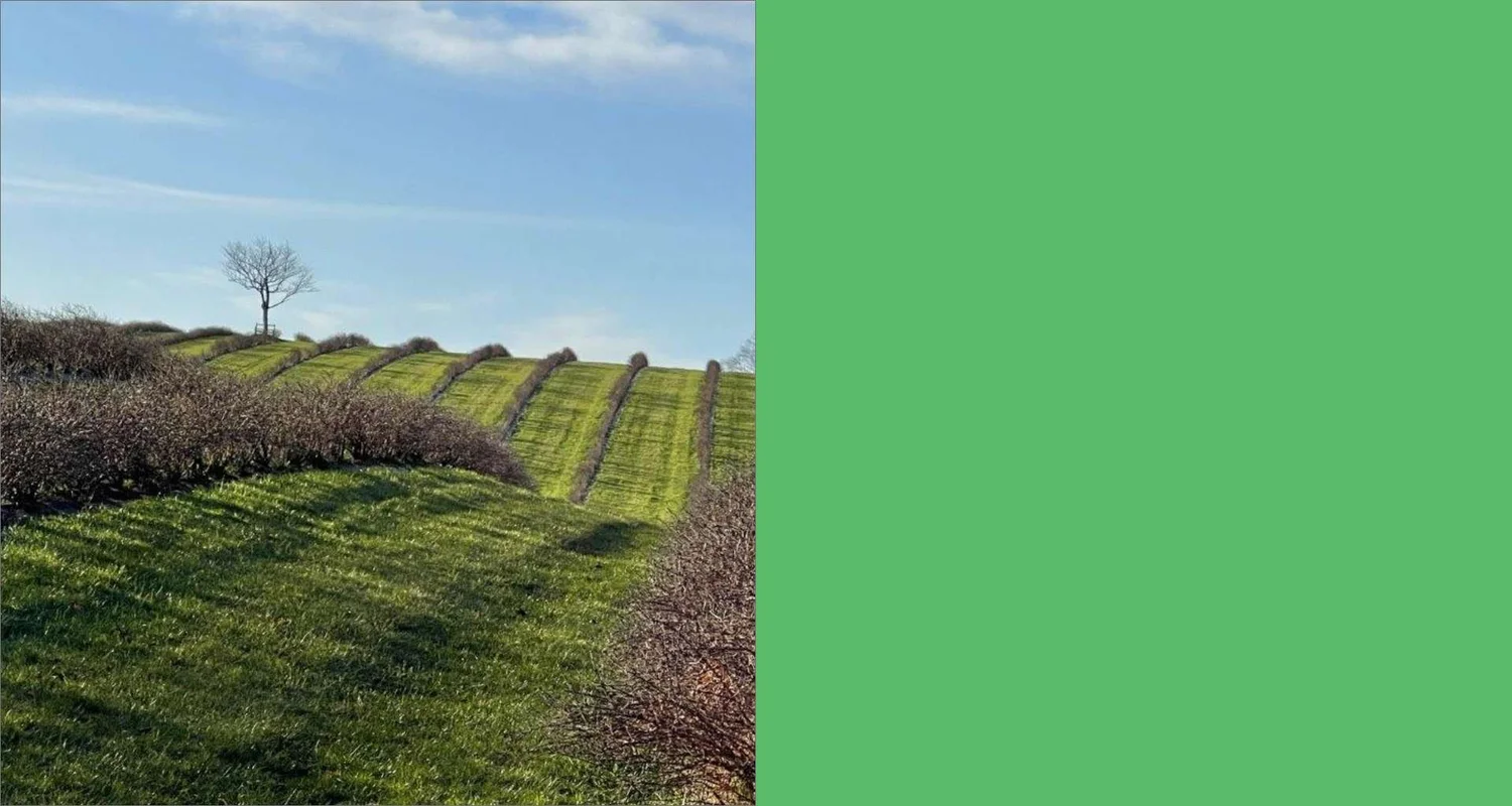 About Us — Nova Scotia's Own Haskap Berries