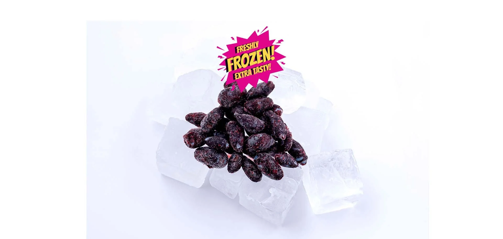 Nova Scotia's Own Haskap Berries