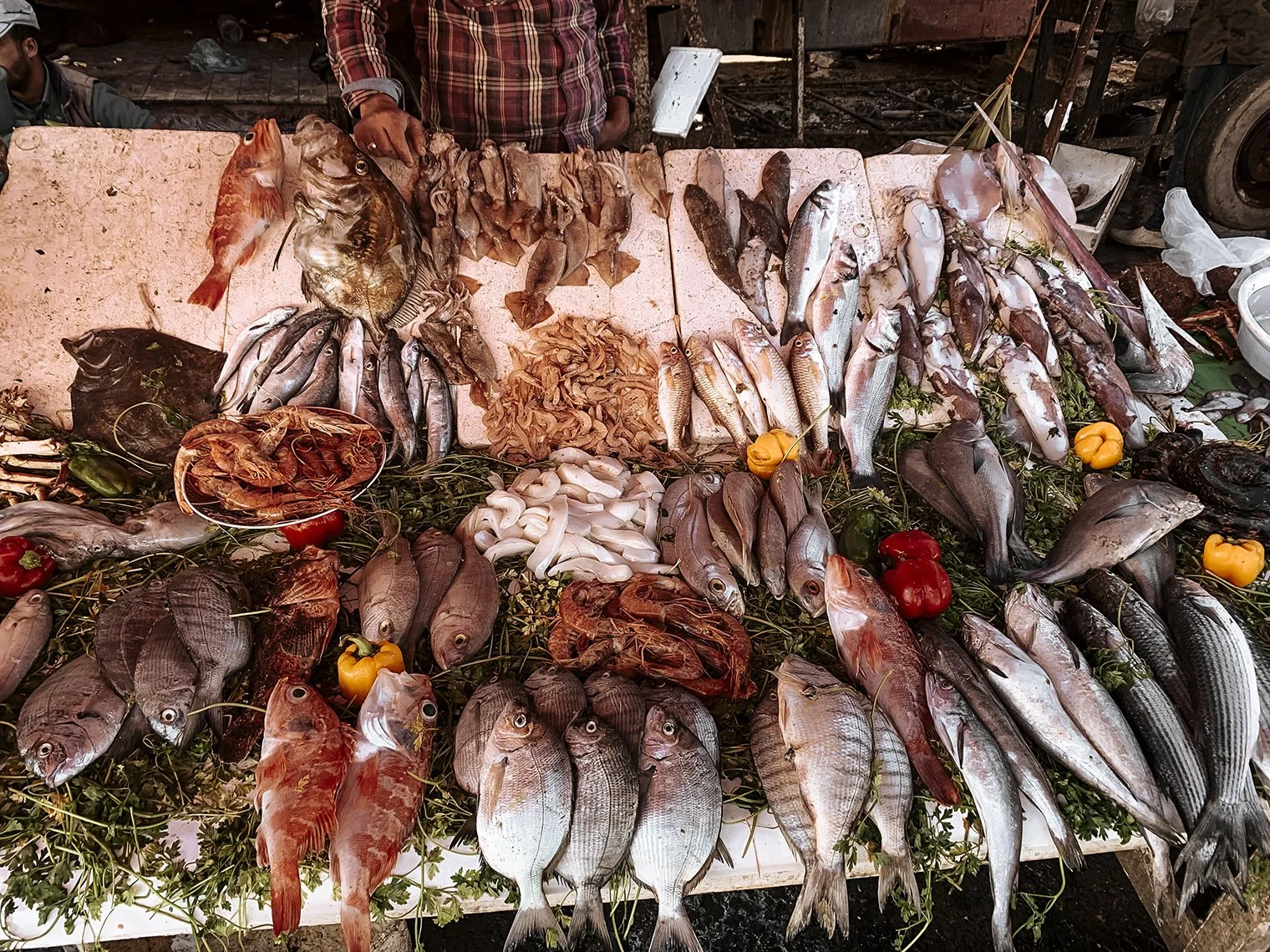 191017_Morocco-9504.jpg