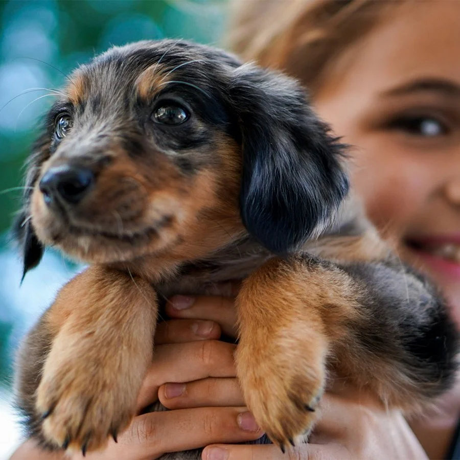 WEENIE-mwzVasRlDpc-unsplash.jpg
