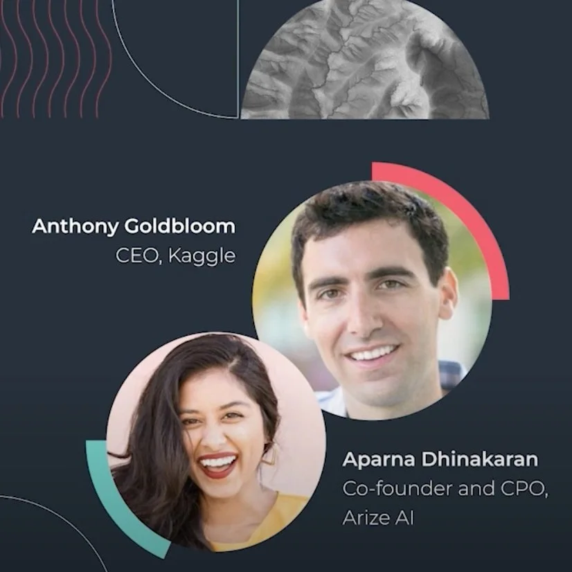 Arize: Observe - Fireside Chat with Anthony Goldbloom