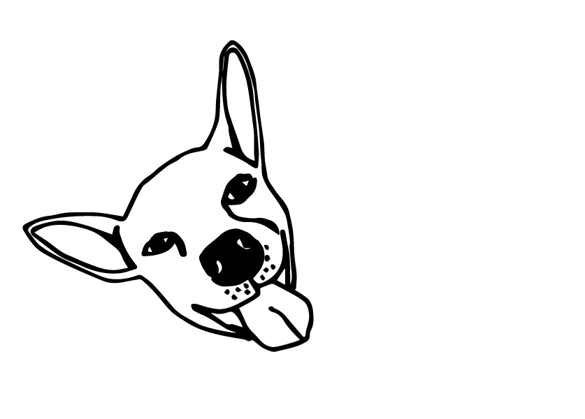 Perro Blanco
