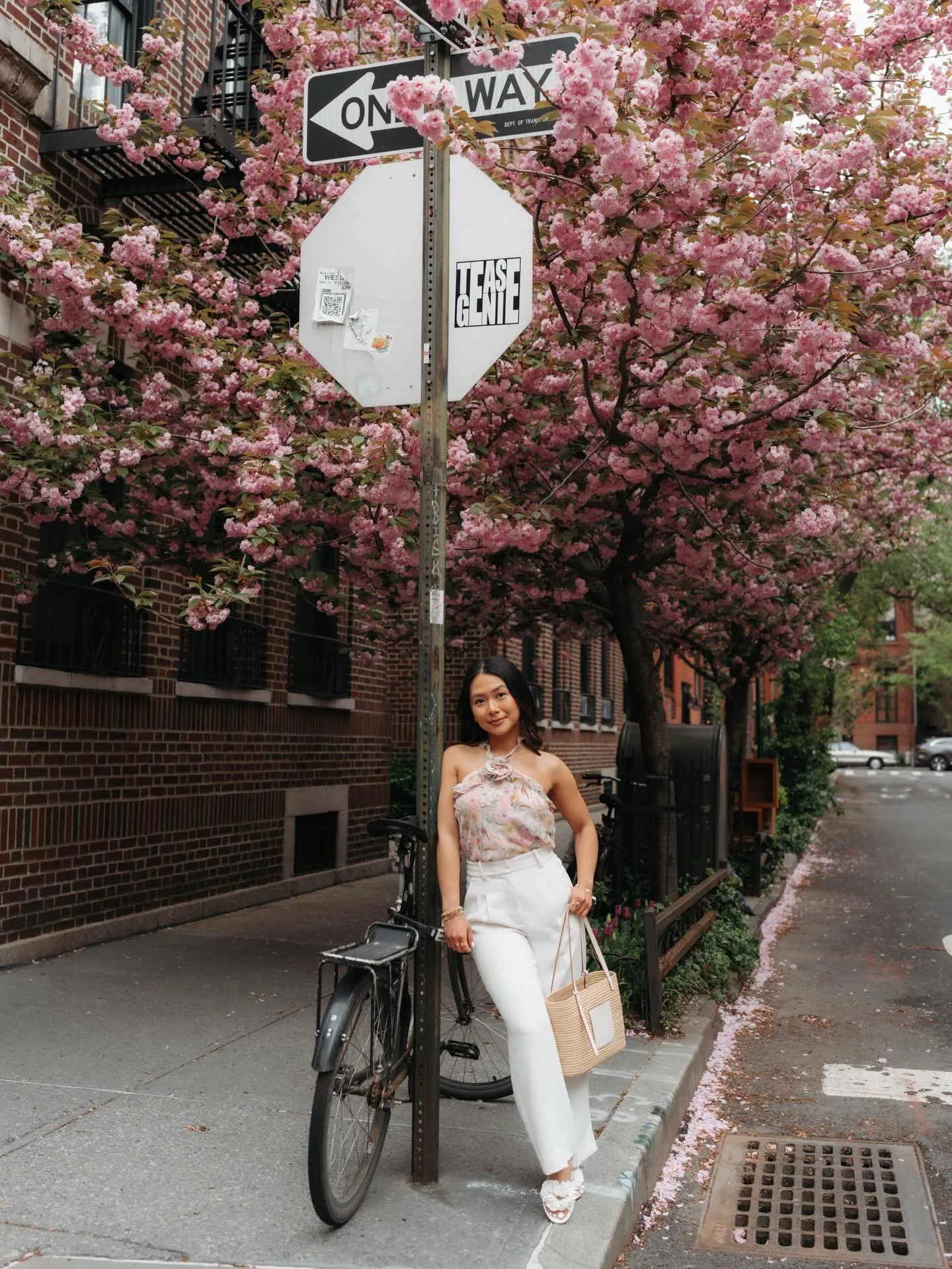 cherry blossom season is almost here 🌸