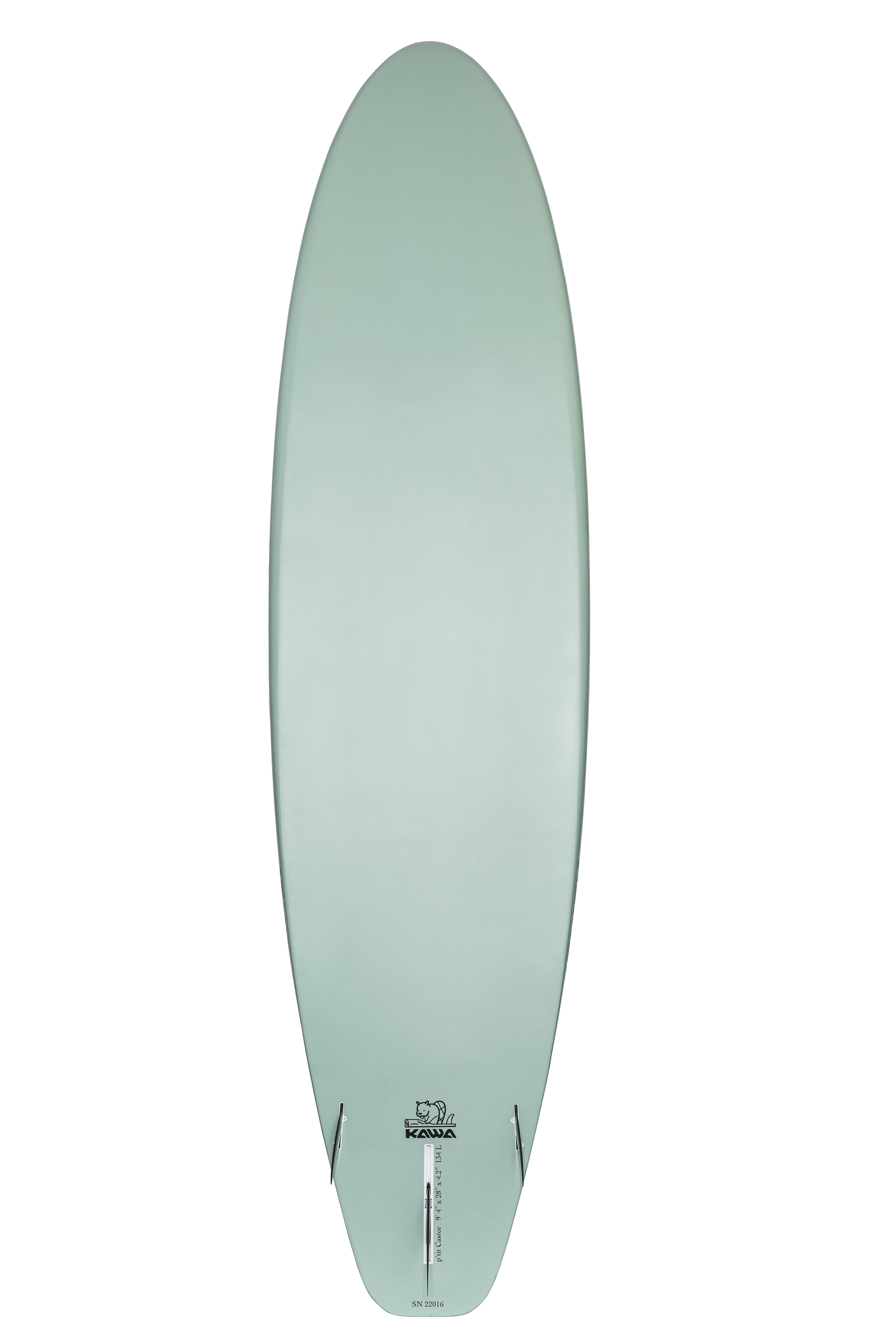 PETIT CASTOR BOTTOM FINS_36P3812.png