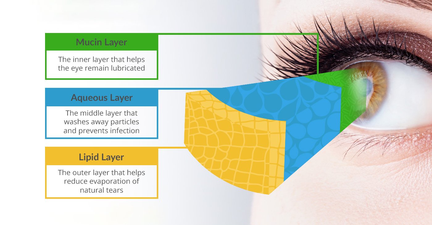 The Composition of Tears and Their Role in Eye Health