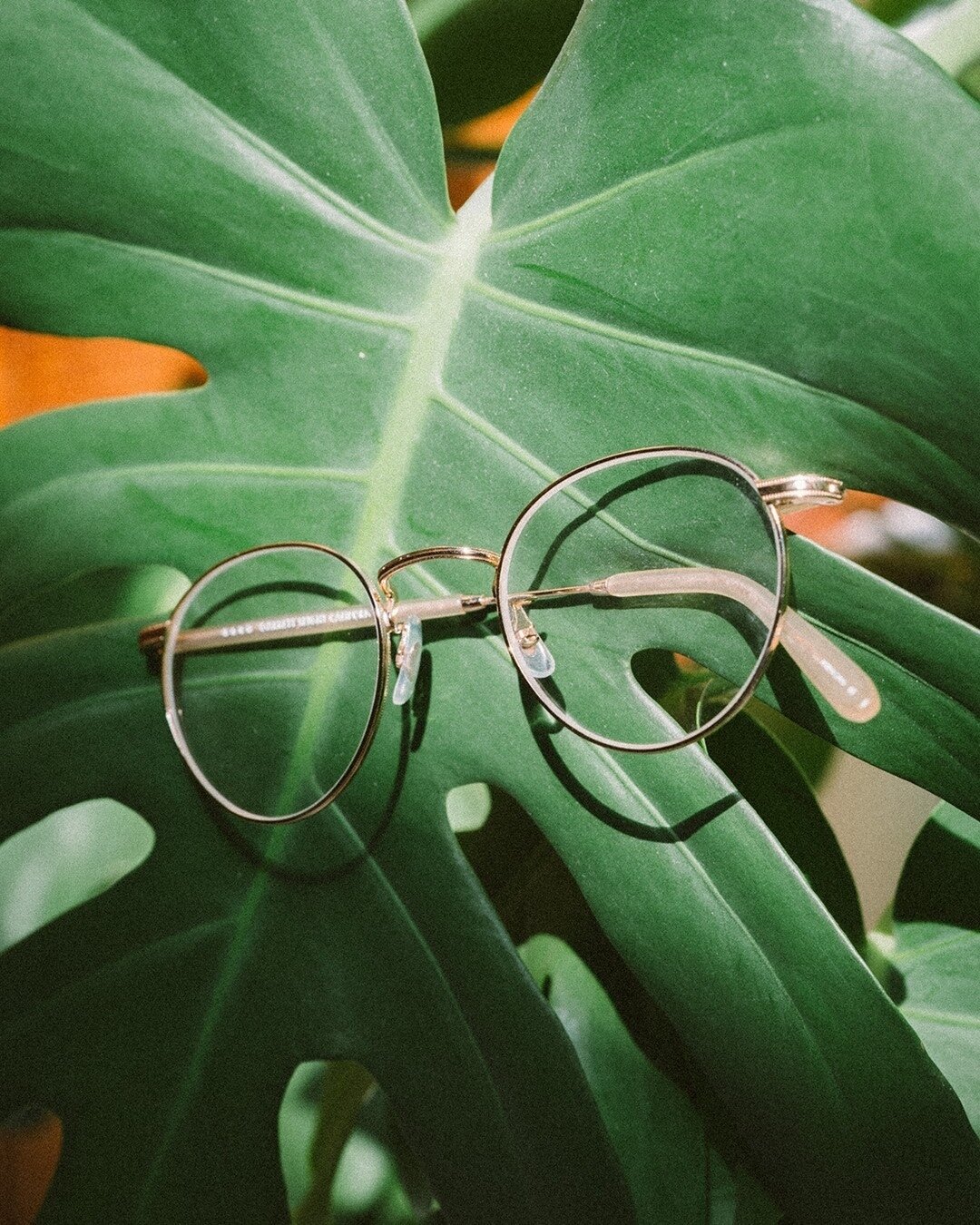 We have been obsessed with Garrett Leight for a long time, due not only to their incredible designs but also their meticulous quality. For their frames, Garrett Leight constantly sources the best quality materials from across the globe to ensure that