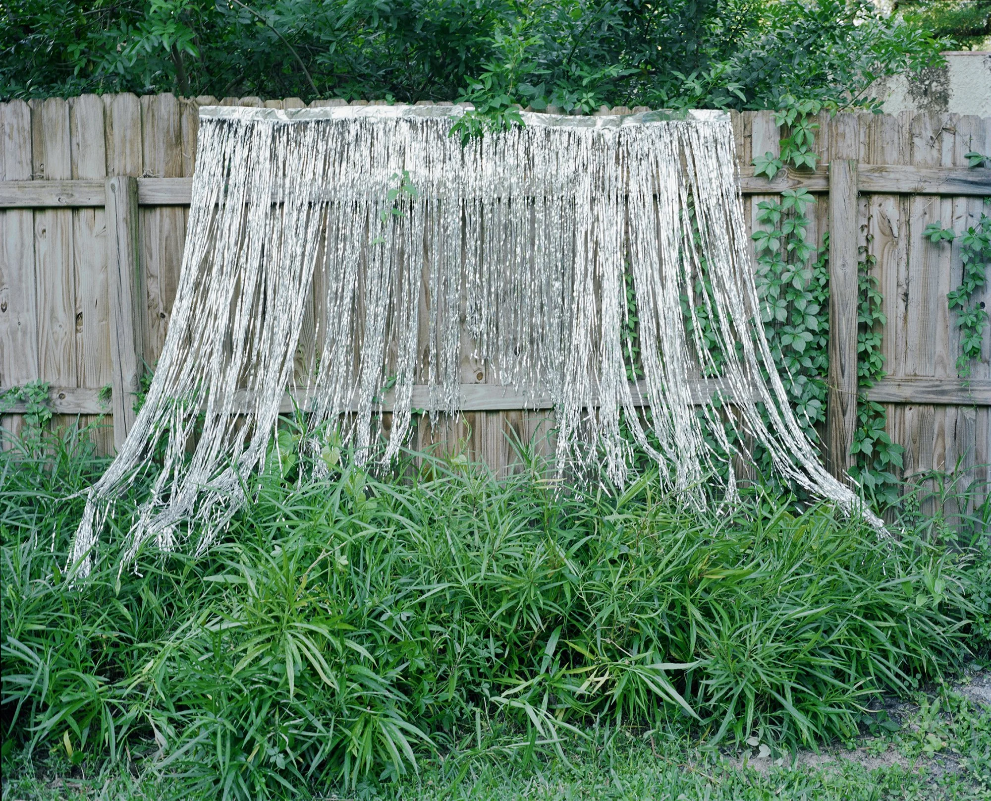 rain curtain on fence.jpg