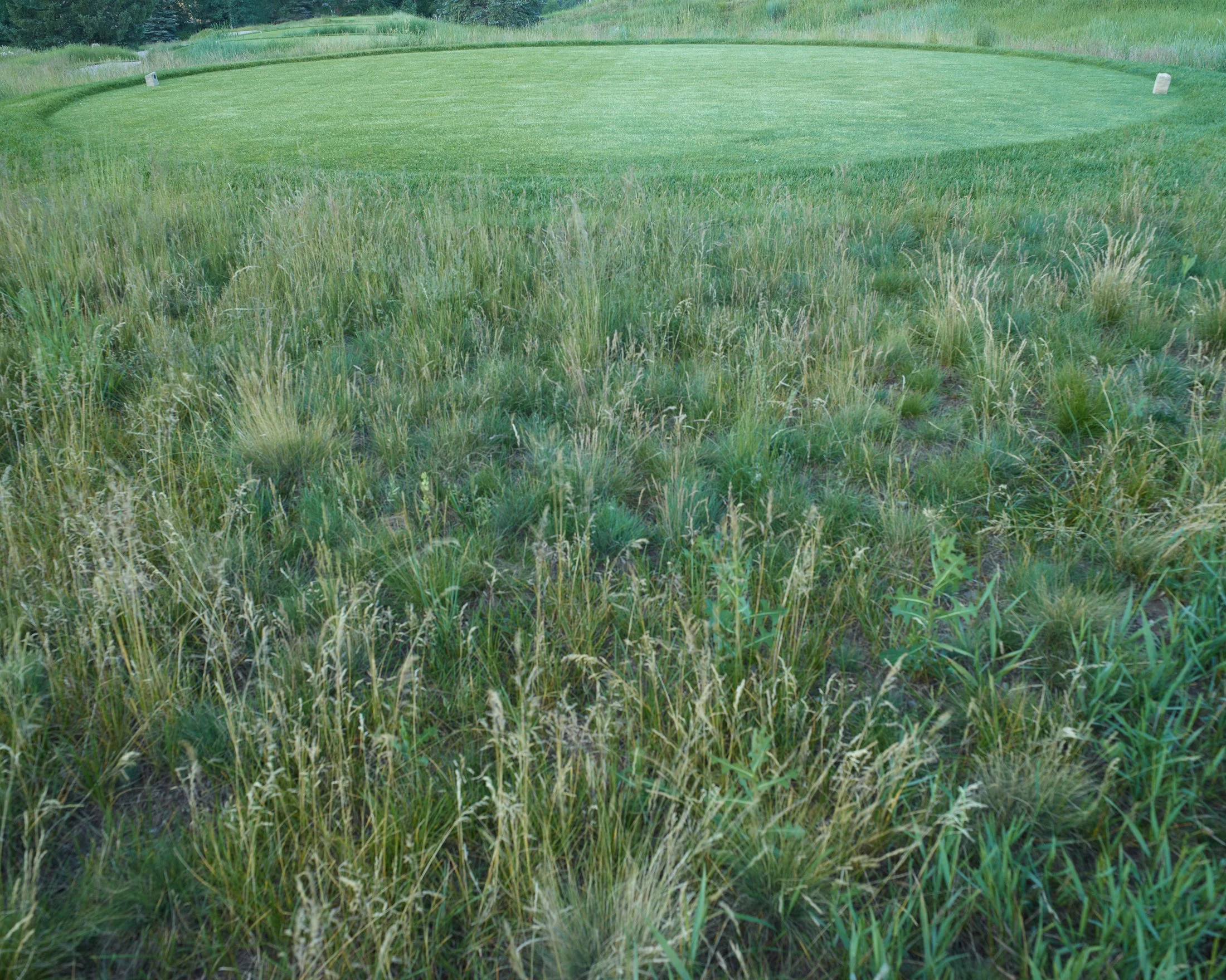 landscape_interrupted-10.jpg